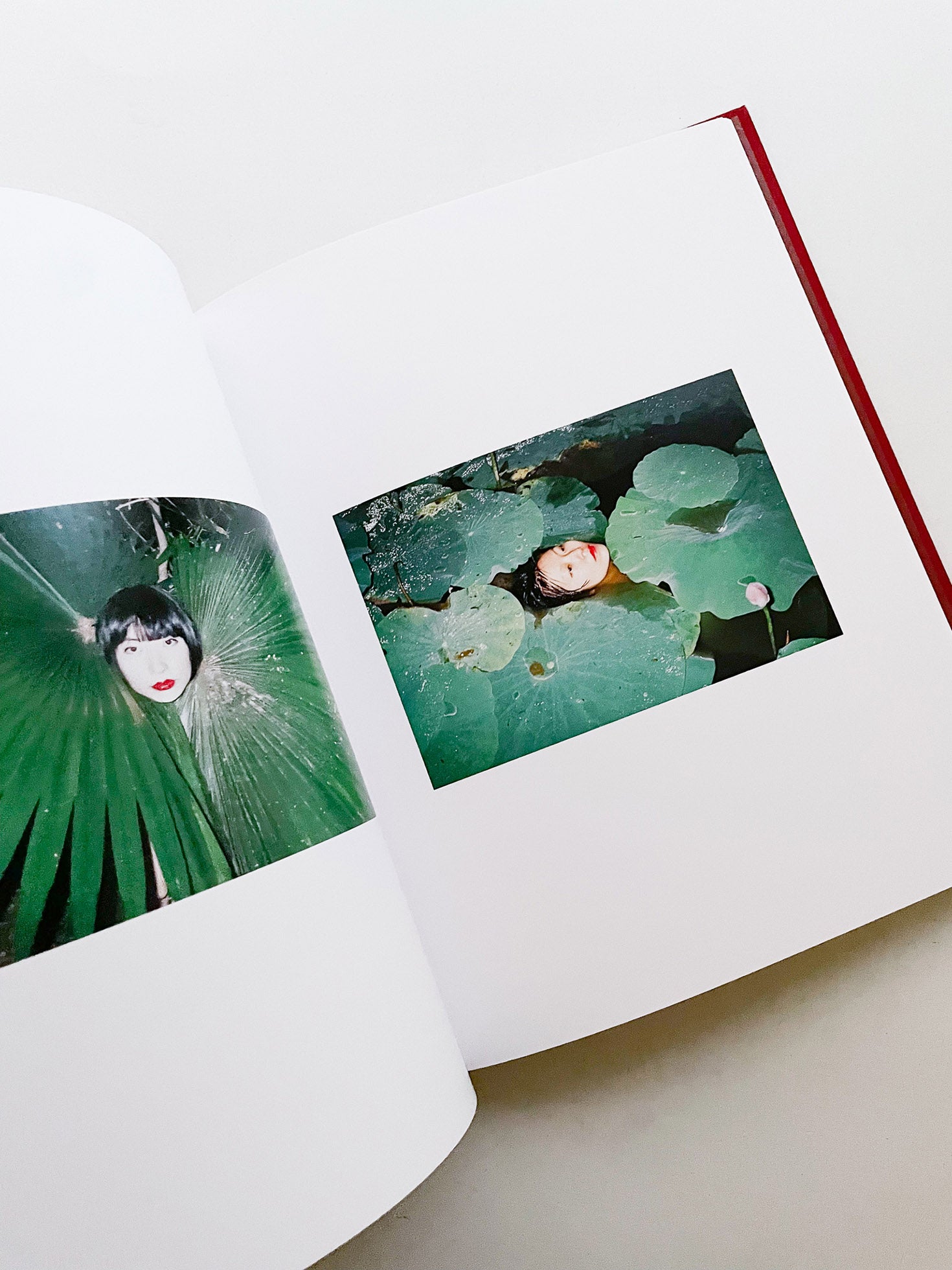 我母親 for my mother／任航 Ren Hang - 本屋青旗 Ao-Hata Bookstore