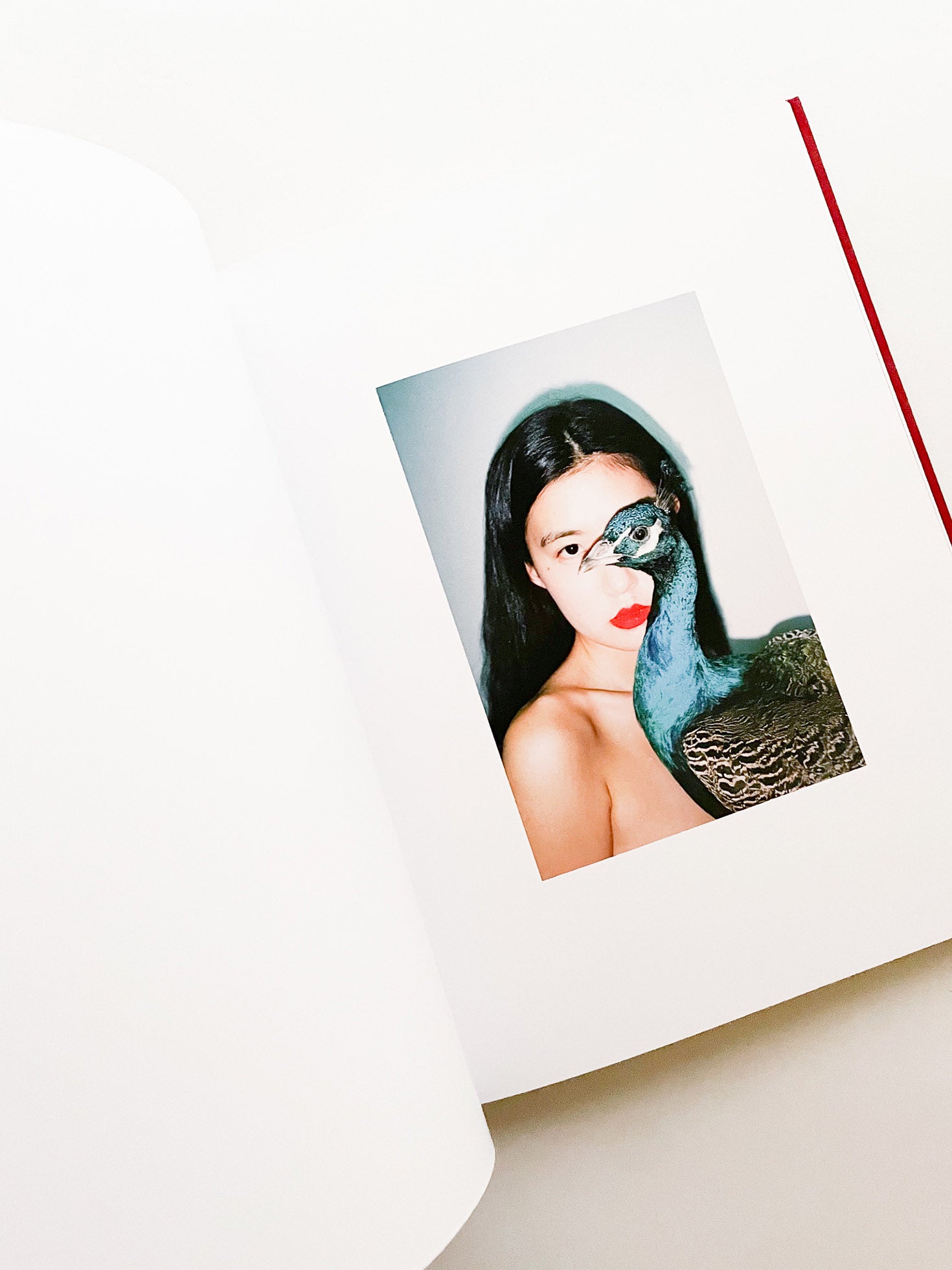 我母親 for my mother／任航 Ren Hang - 本屋青旗 Ao-Hata Bookstore