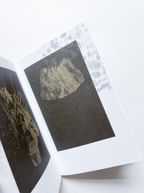 Neither Give nor Throw Away / Sophie Calle