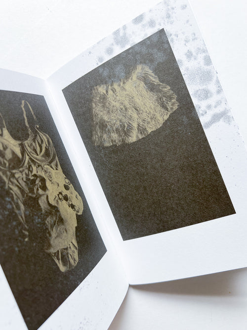 Neither Give nor Throw Away / Sophie Calle