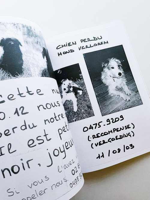 Gelieve in de kelder te kijken / Veuillez regarder dans la cave / Please Look in the Basement / Maarten Inghels