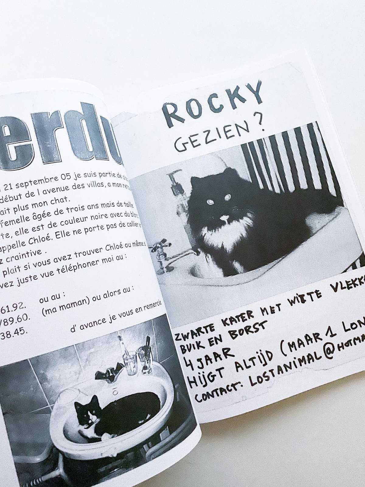 Gelieve in de kelder te kijken / Veuillez regarder dans la cave / Please Look in the Basement / Maarten Inghels