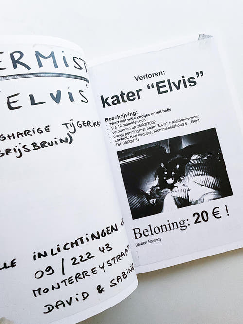 Gelieve in de kelder te kijken / Veuillez regarder dans la cave / Please Look in the Basement / Maarten Inghels
