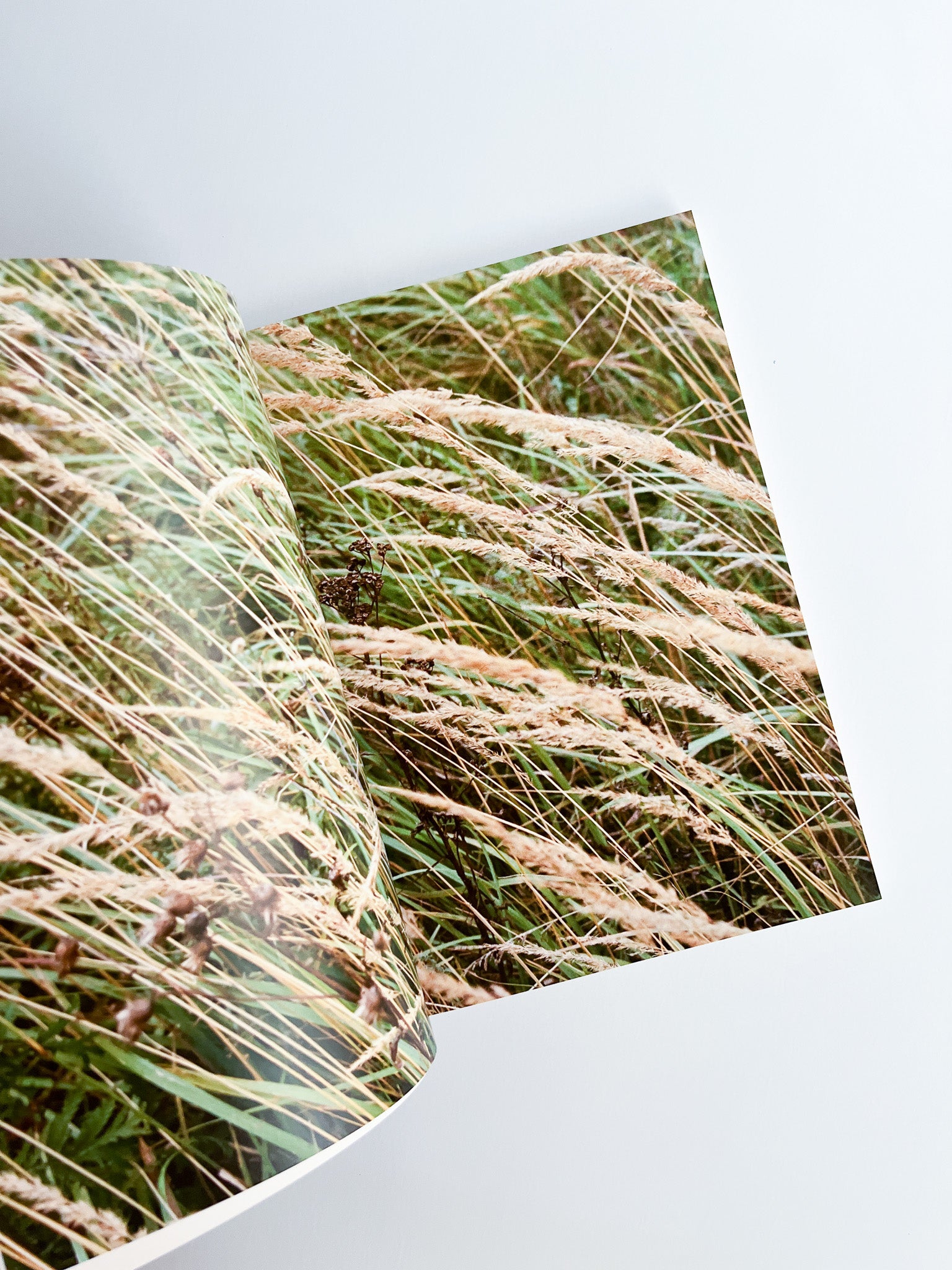 TRANSFIGURATION BOOK / Gosha Rubchinskiy - 本屋青旗 Ao-Hata Bookstore