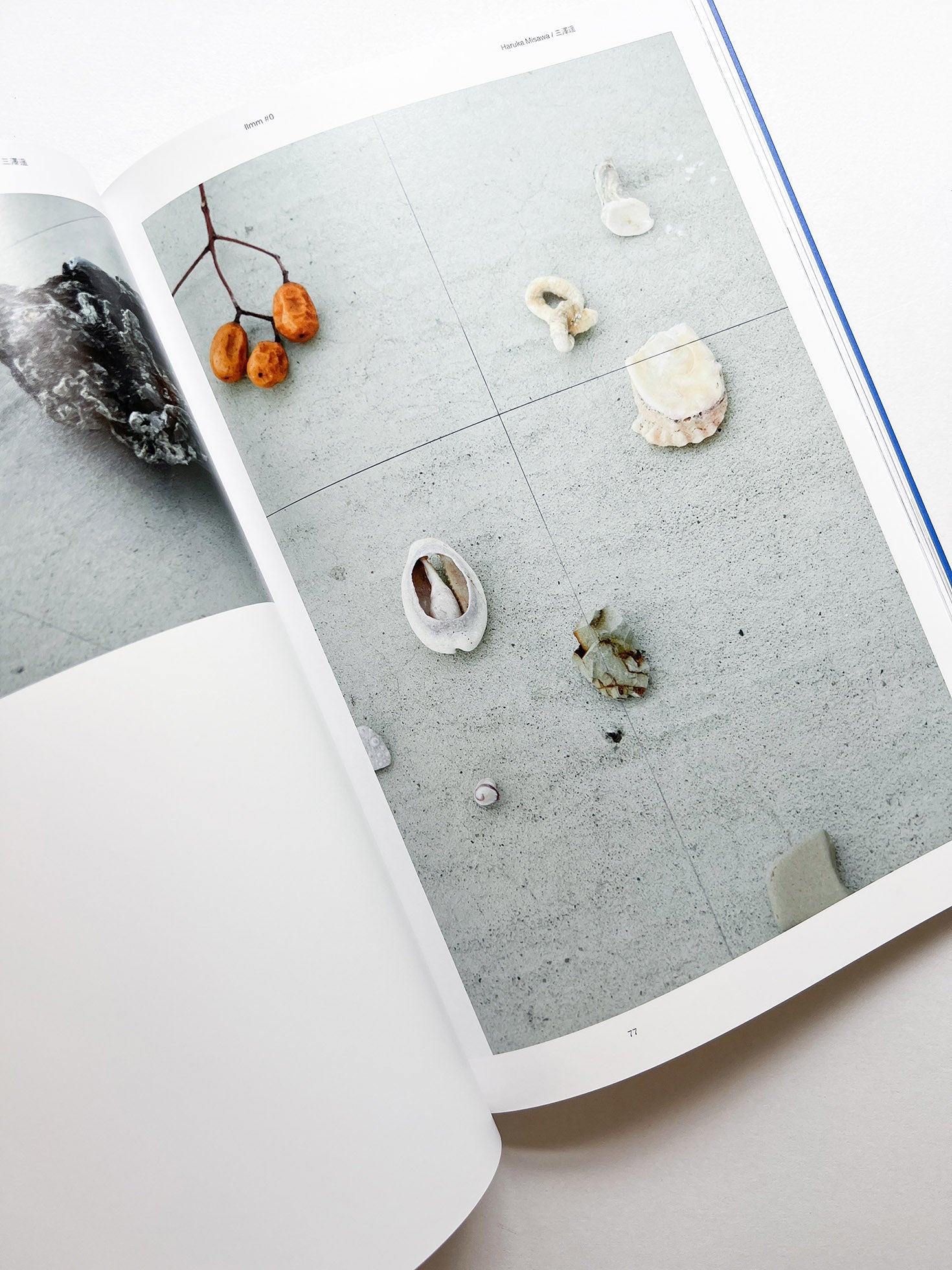 Ilmm: Design Journal #0 - 本屋青旗 Ao-Hata Bookstore