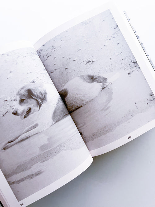 PASSING THROUGH MOVING IN AND GETTING AWAY WITH IT: GORDON MATTA-CLARK NEW YORK CITY GRAFFITI PHOTOGRAPHS, 1972–73 / Gordon Matta-Clark [SECOND PRINTING]