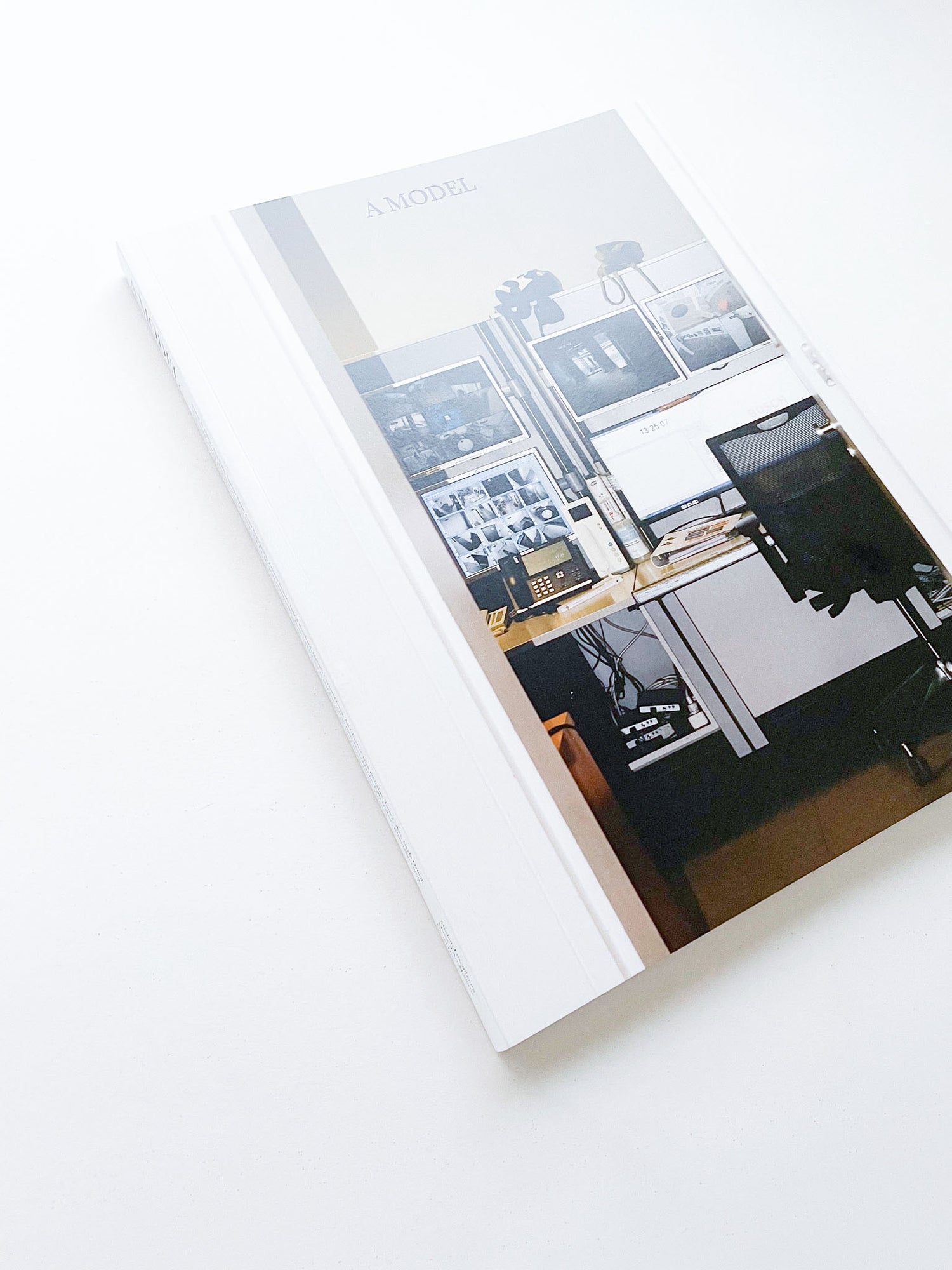 A Model / Bettina Steinbrügge, Jason Dodge