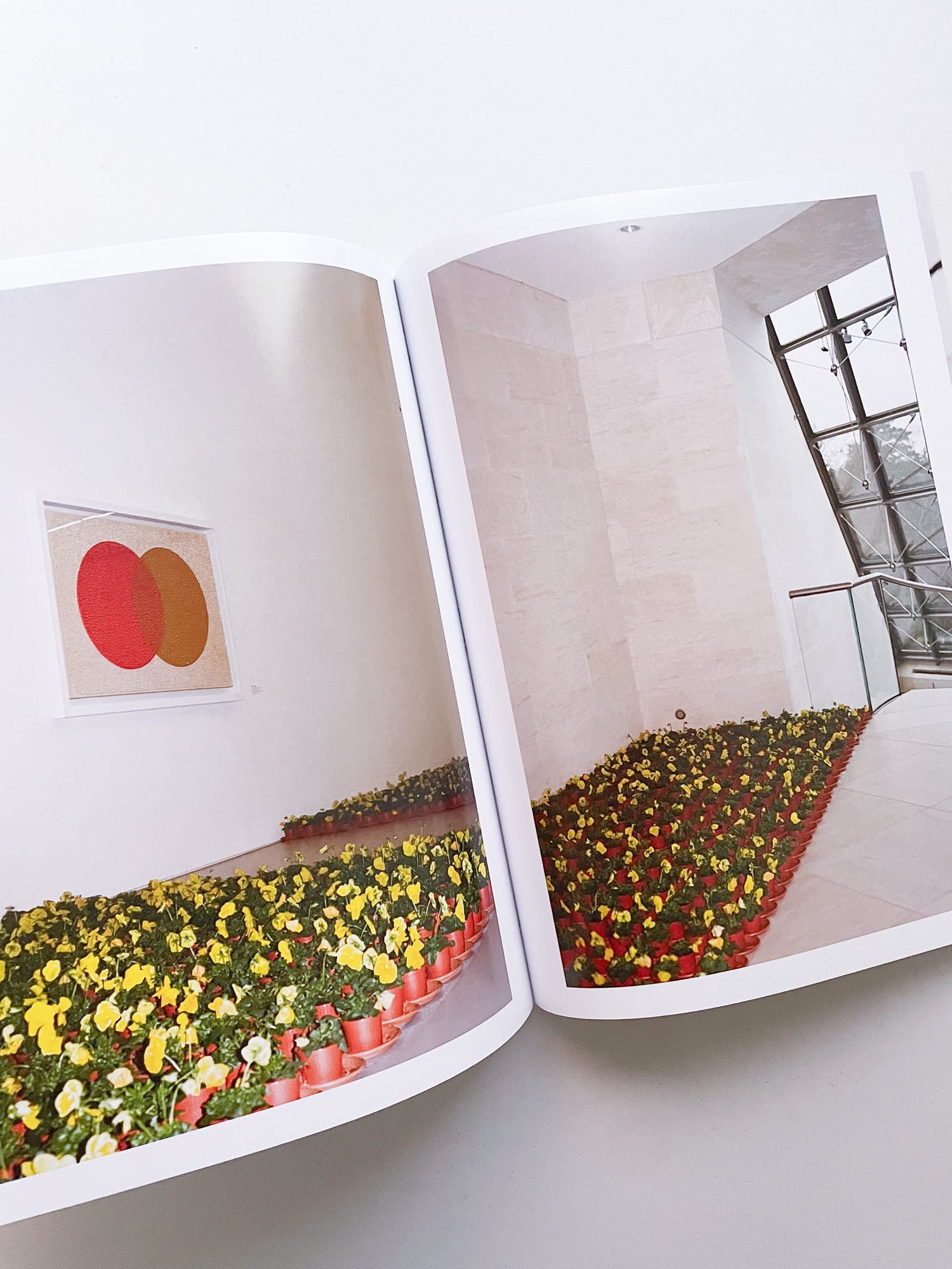 A Model / Bettina Steinbrügge, Jason Dodge