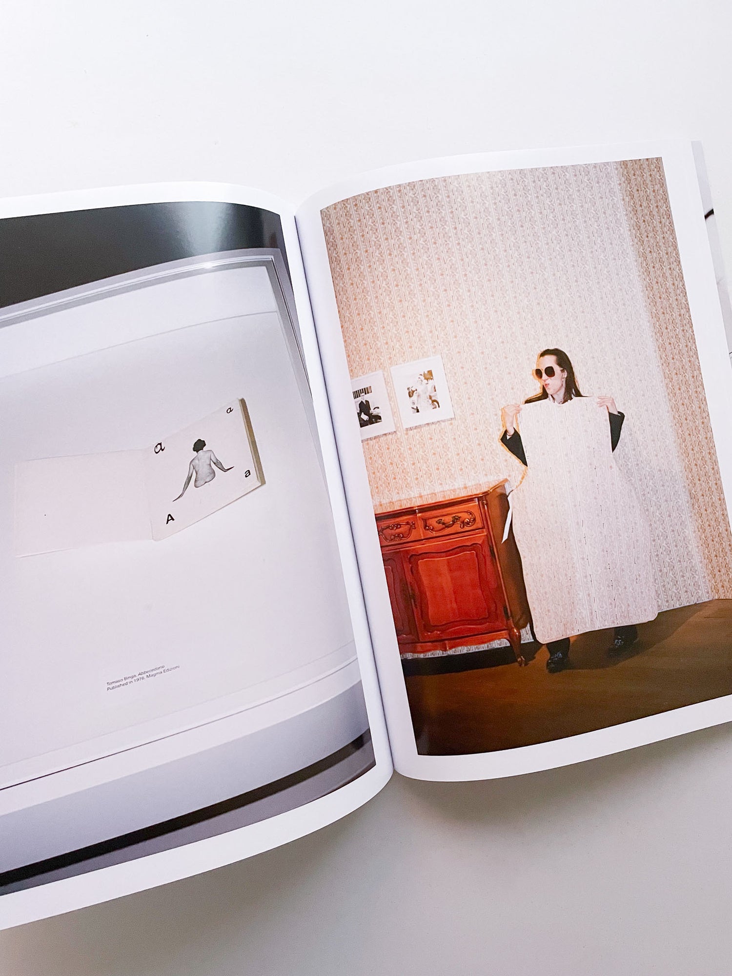 A Model / Bettina Steinbrügge, Jason Dodge