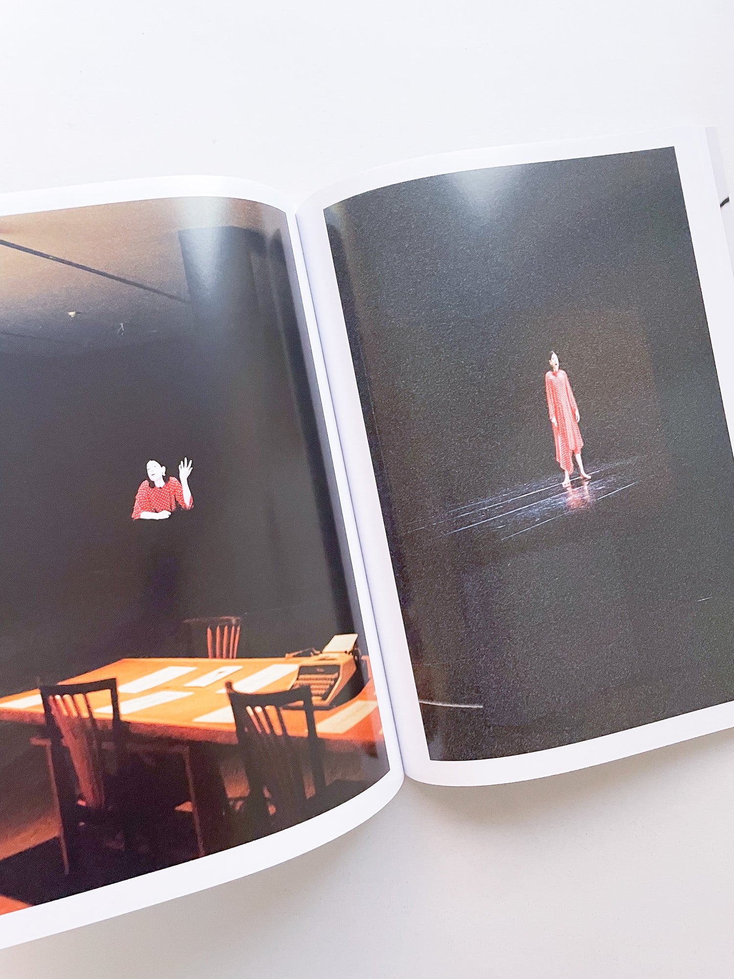 A Model / Bettina Steinbrügge, Jason Dodge