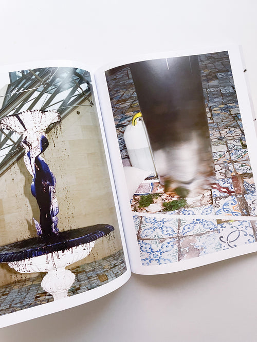 A Model / Bettina Steinbrügge, Jason Dodge