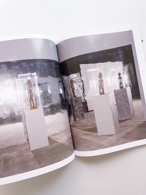 A Model / Bettina Steinbrügge, Jason Dodge