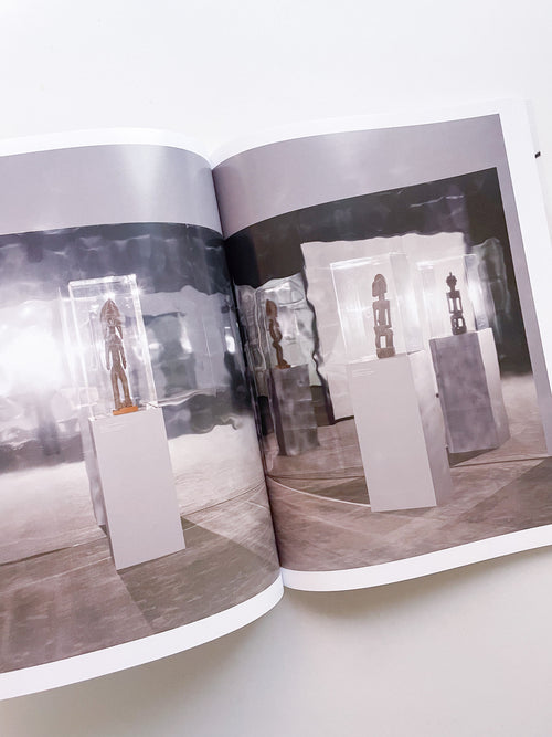 A Model / Bettina Steinbrügge, Jason Dodge