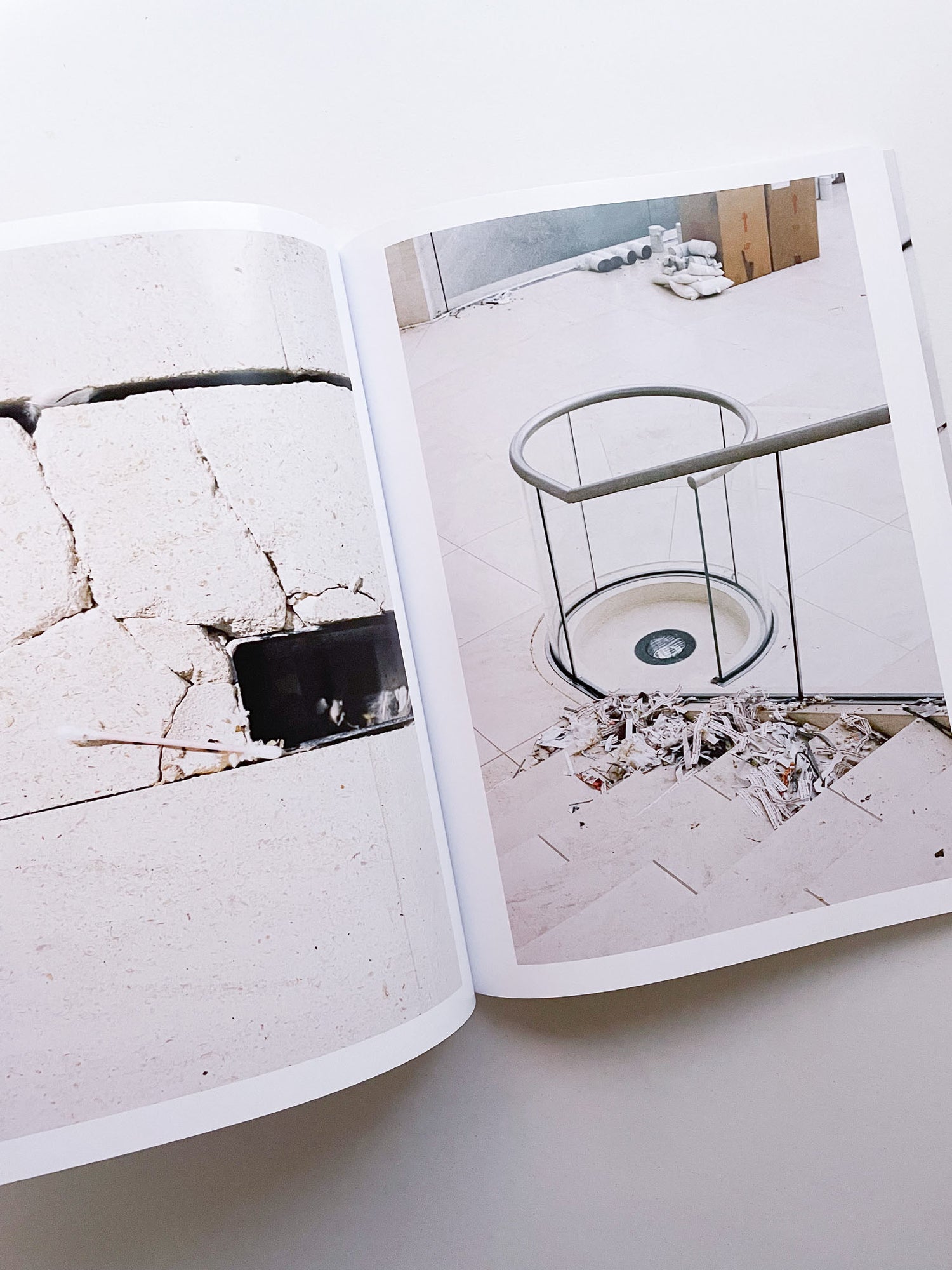 A Model / Bettina Steinbrügge, Jason Dodge