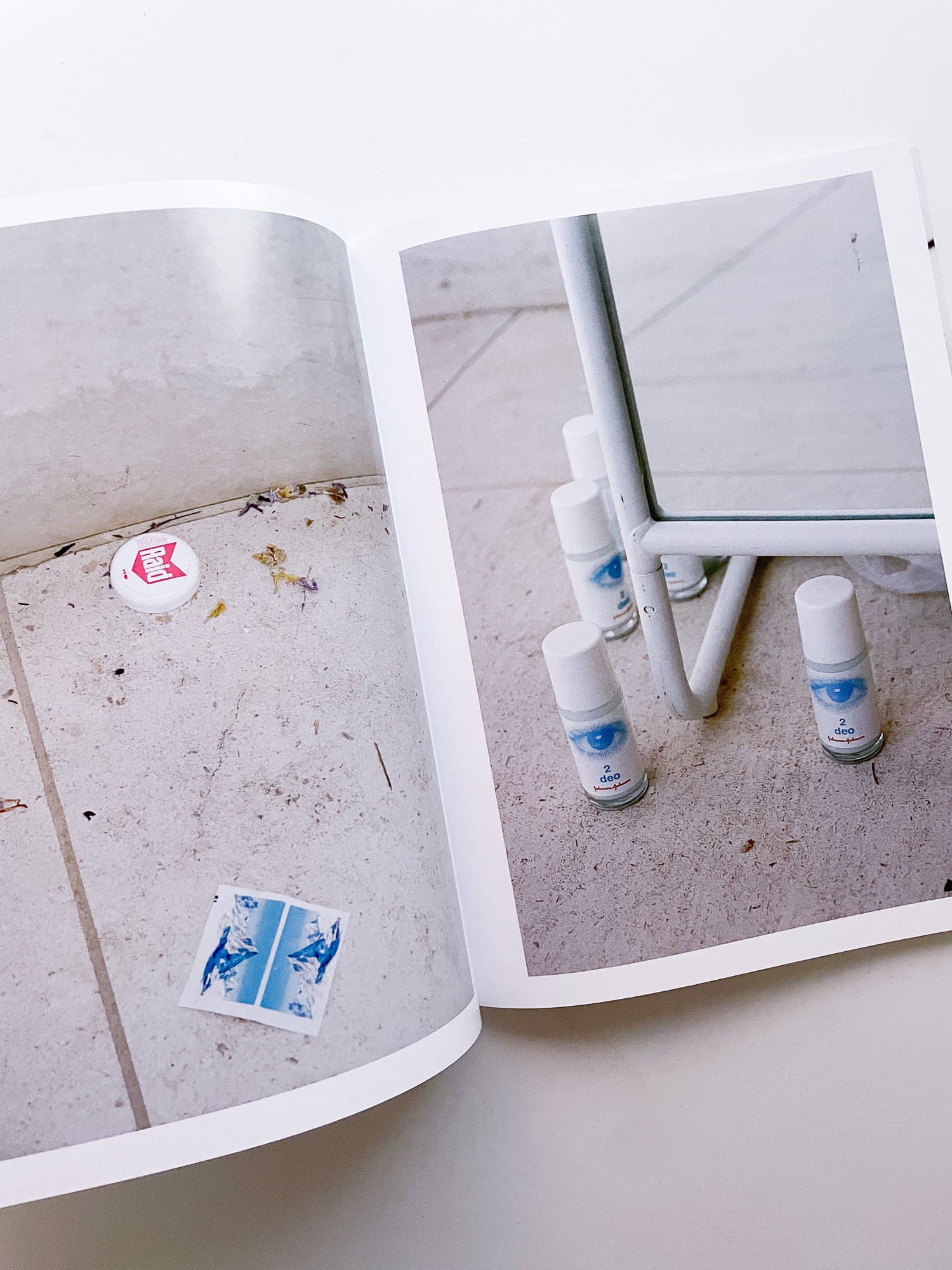 A Model / Bettina Steinbrügge, Jason Dodge