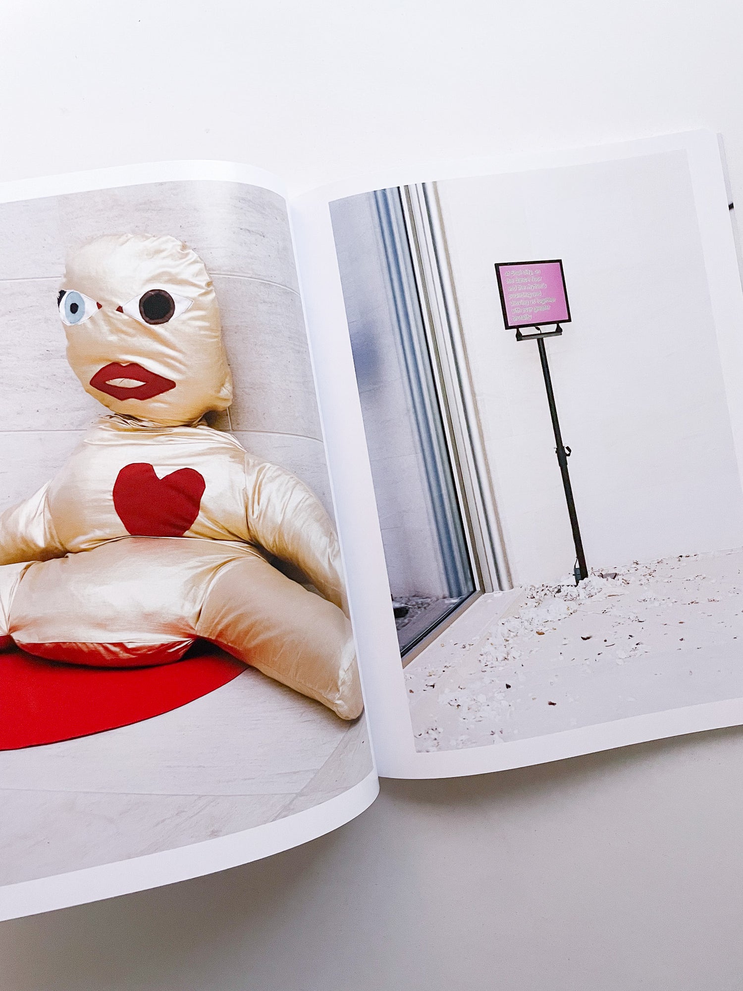 A Model / Bettina Steinbrügge, Jason Dodge