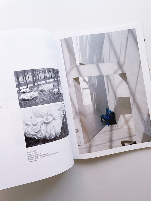 A Model / Bettina Steinbrügge, Jason Dodge