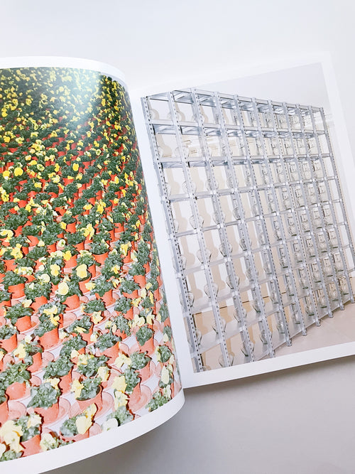 A Model / Bettina Steinbrügge, Jason Dodge