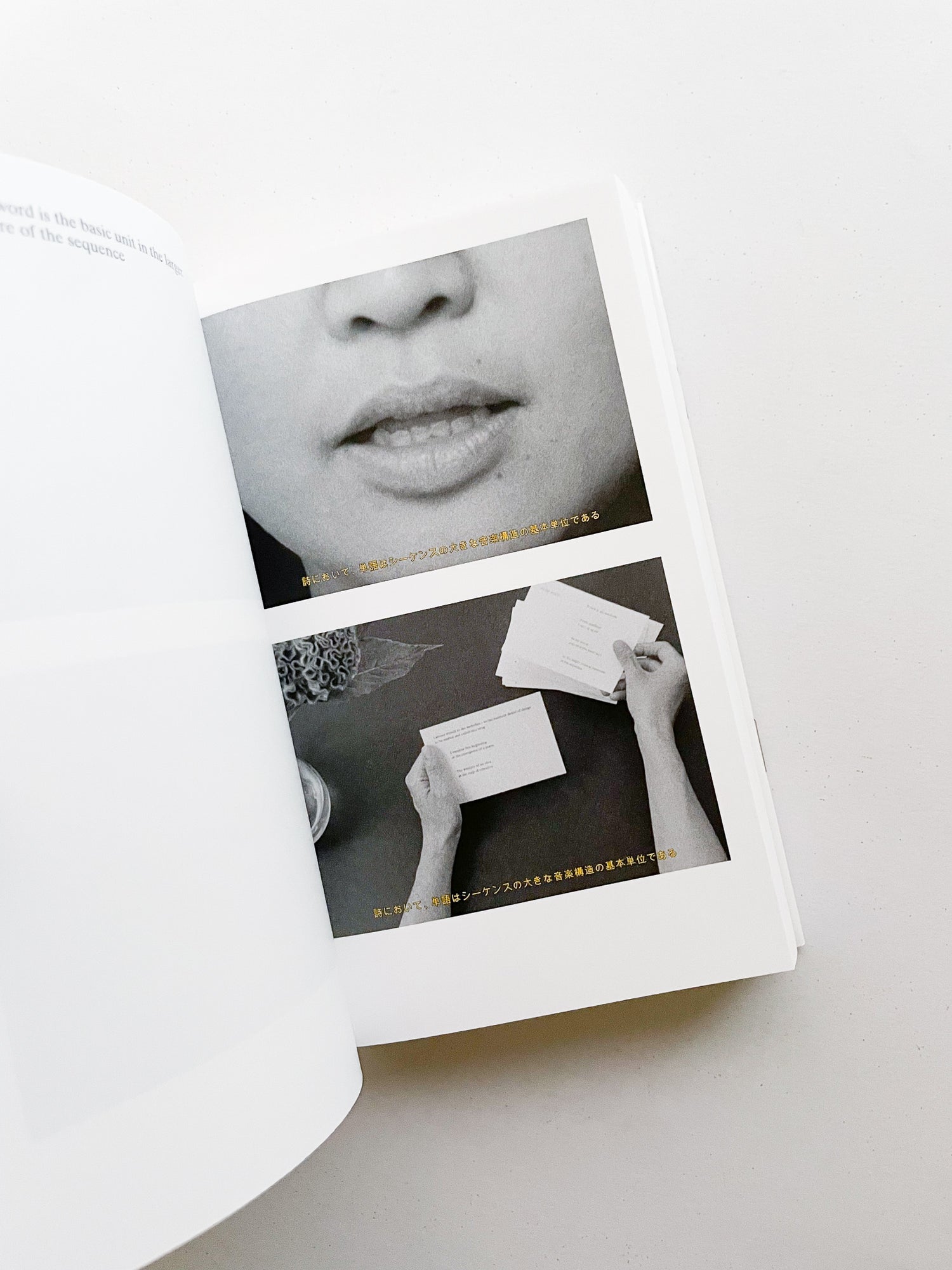 COLLECTIVE STUDY, ENQUIRY #5 / Goldwin 0