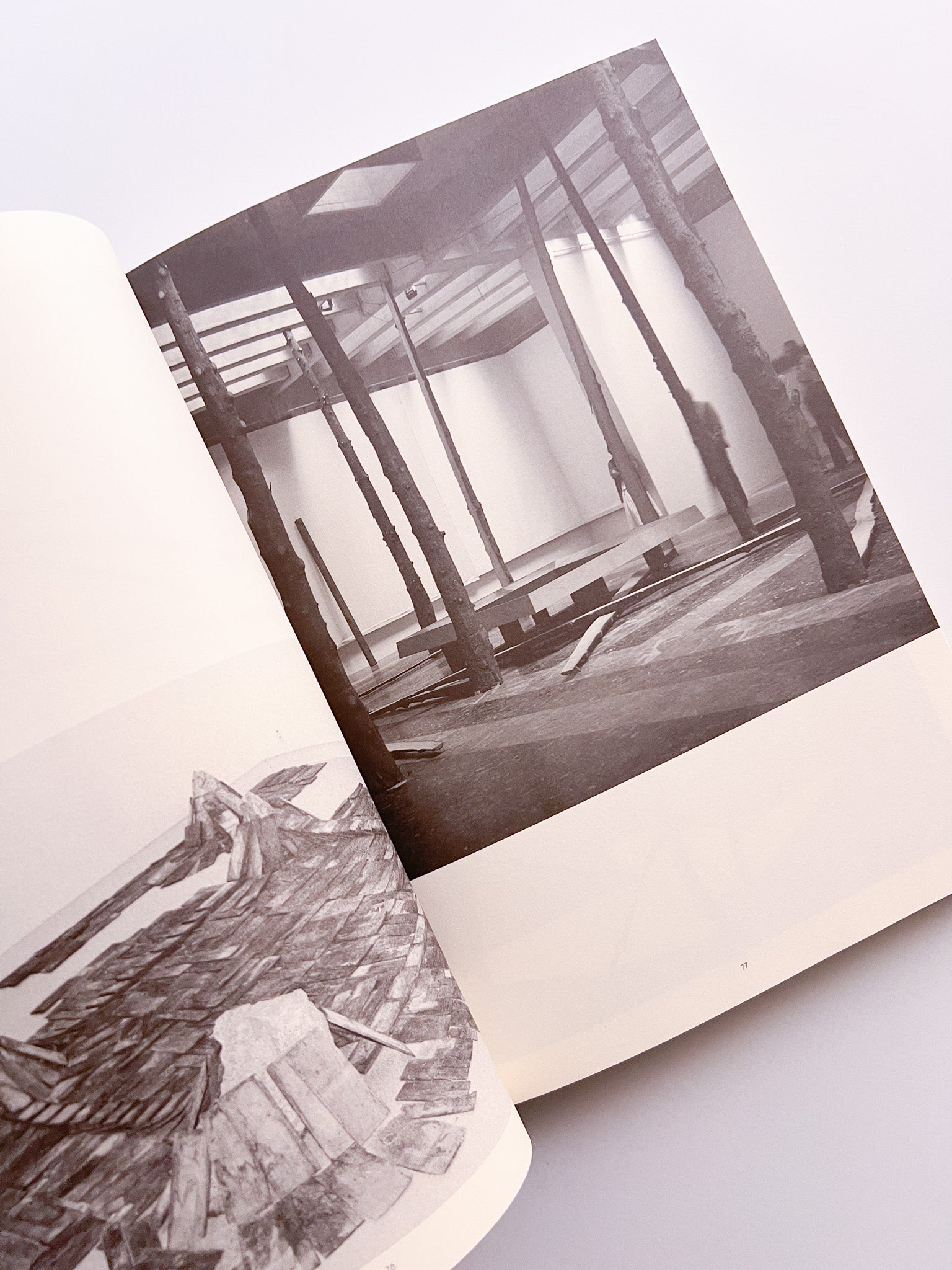 Suga Kishio 1997-1998 - 本屋青旗 Ao-Hata Bookstore