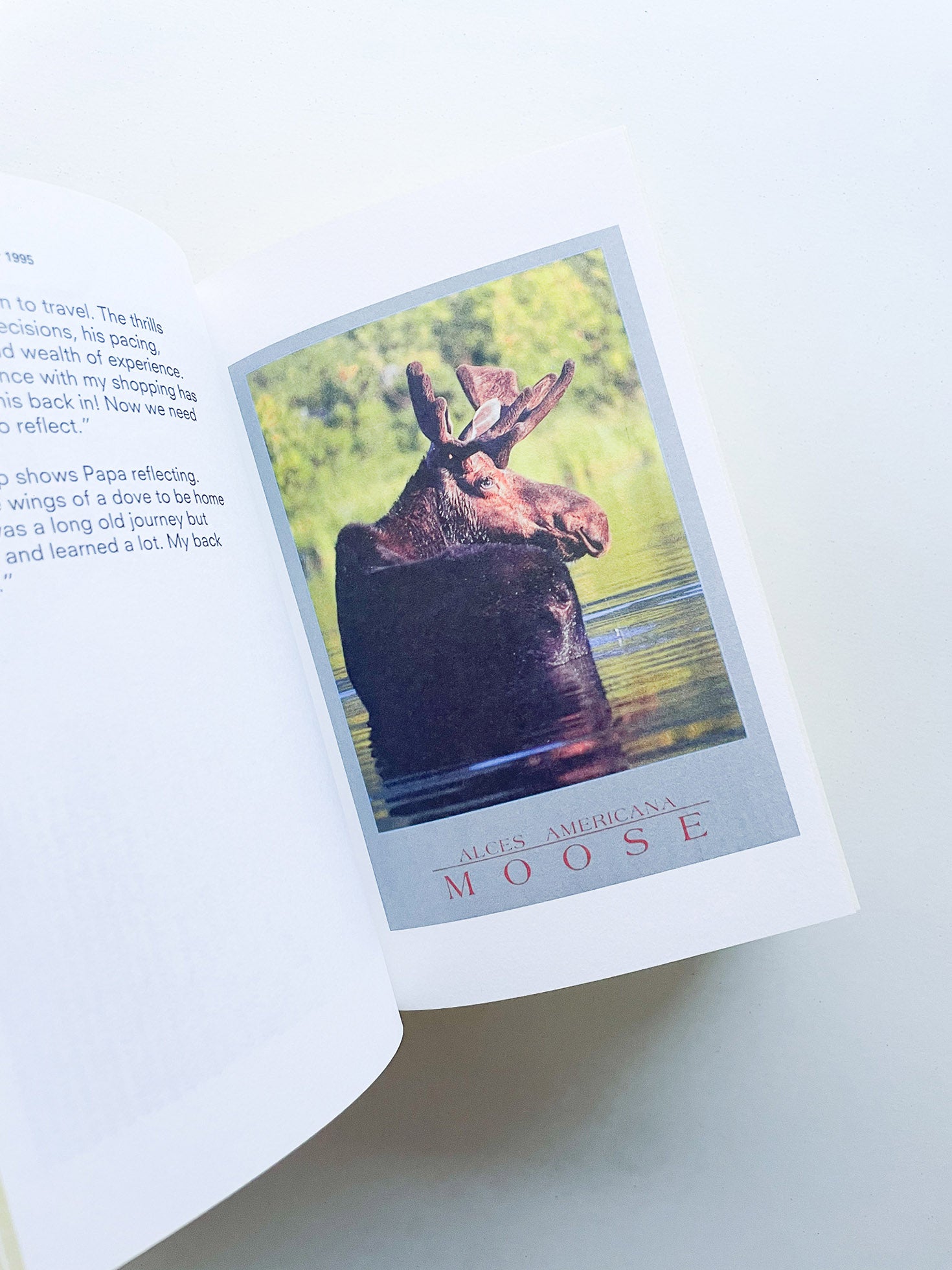 James Jennifer Georgina (The Yellow Book) / Irma Boom