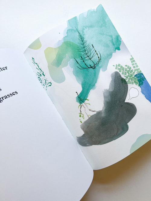 EUSOCIALITY IN THE EU / Otto Canell Watkins, Robin Watkins