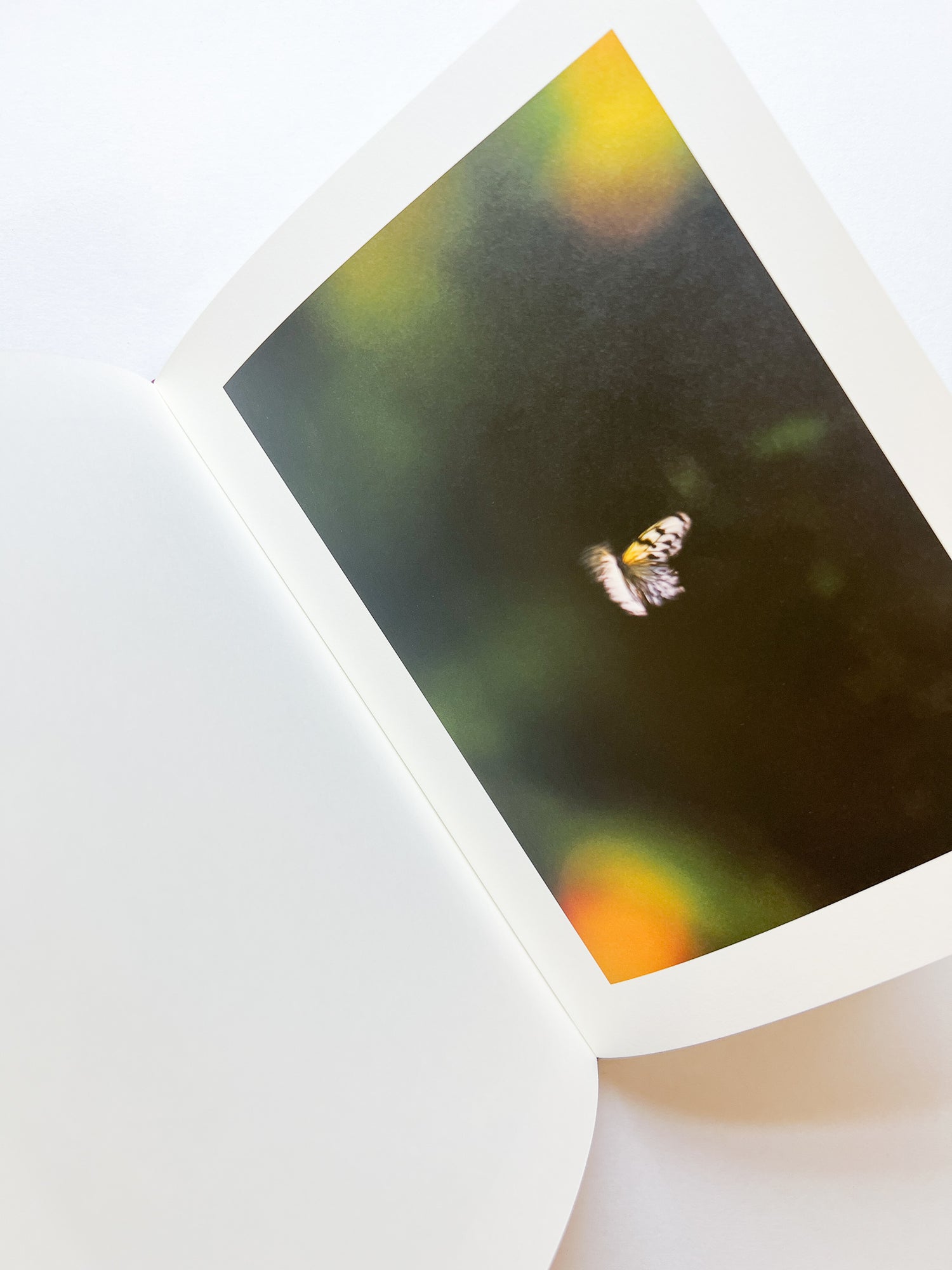 KANON / Shimpei Yamagami [SIGNED]