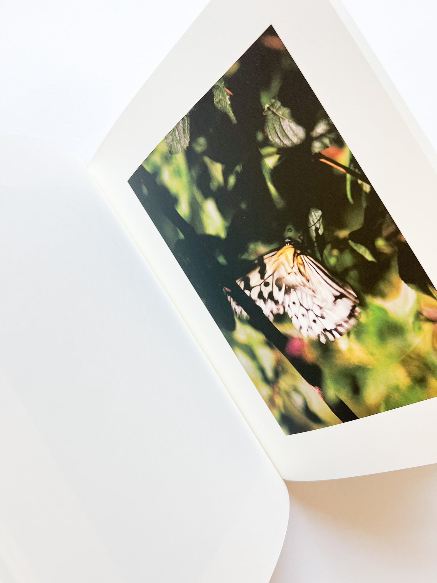 KANON / Shimpei Yamagami [SIGNED]