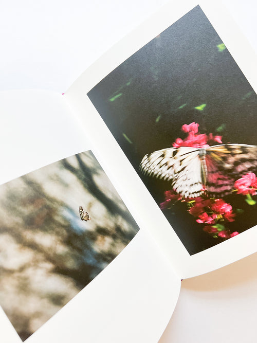 KANON / Shimpei Yamagami [SIGNED]