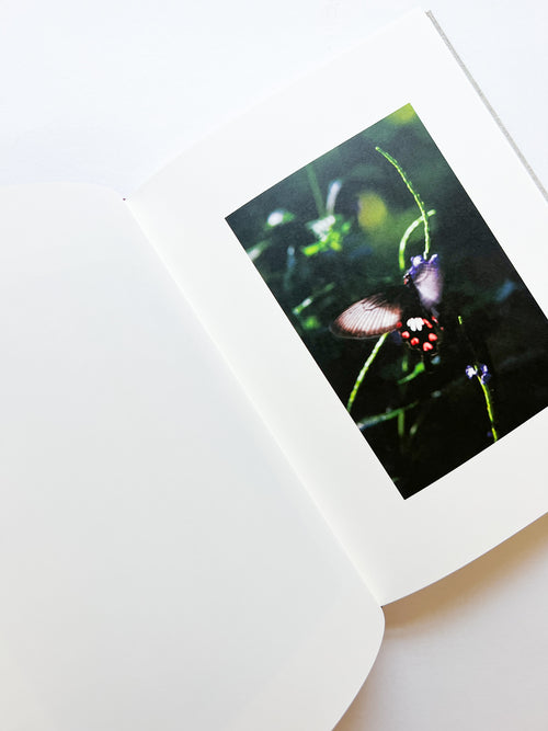 KANON / Shimpei Yamagami [SIGNED]