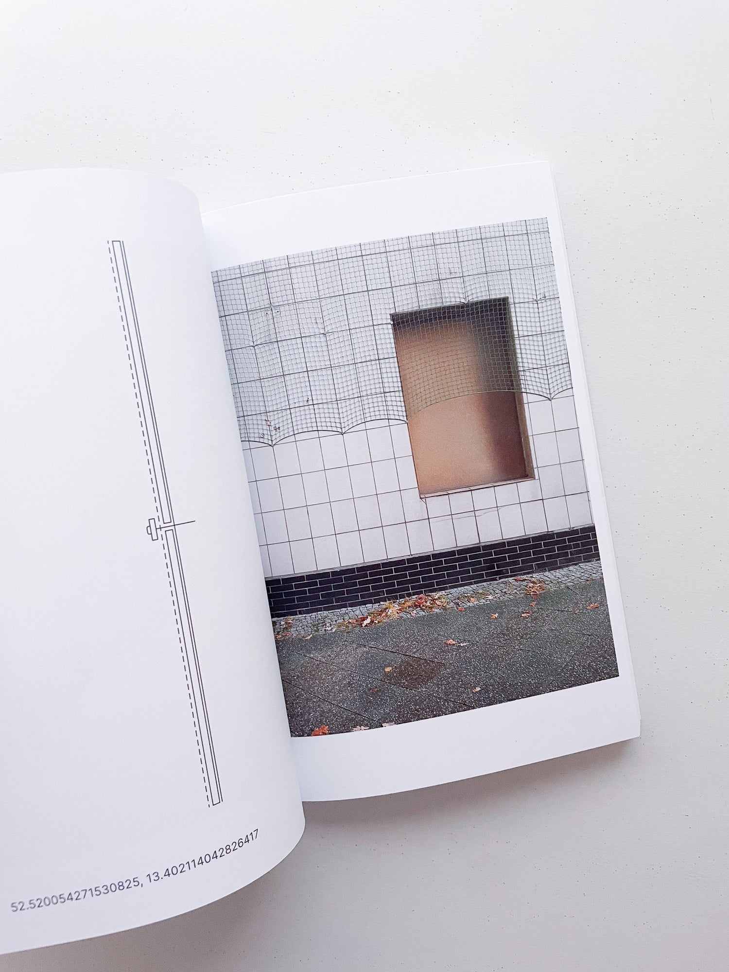 JOINTS OF EASTERN EUROPE / Natasha Krymskaya (CAMP)