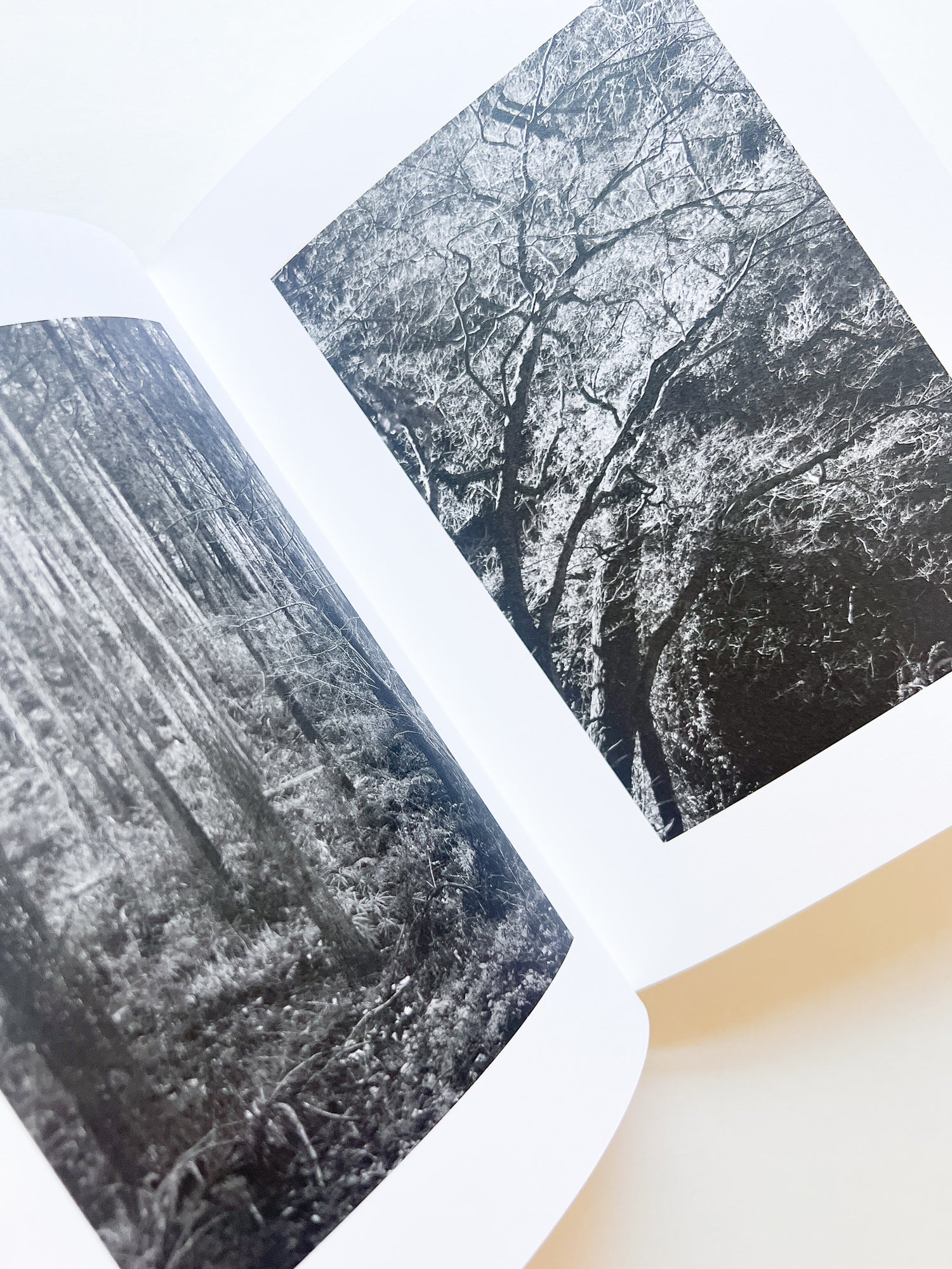 KANON / Shimpei Yamagami [SIGNED]