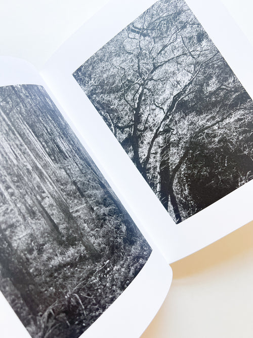 KANON / Shimpei Yamagami [SIGNED]