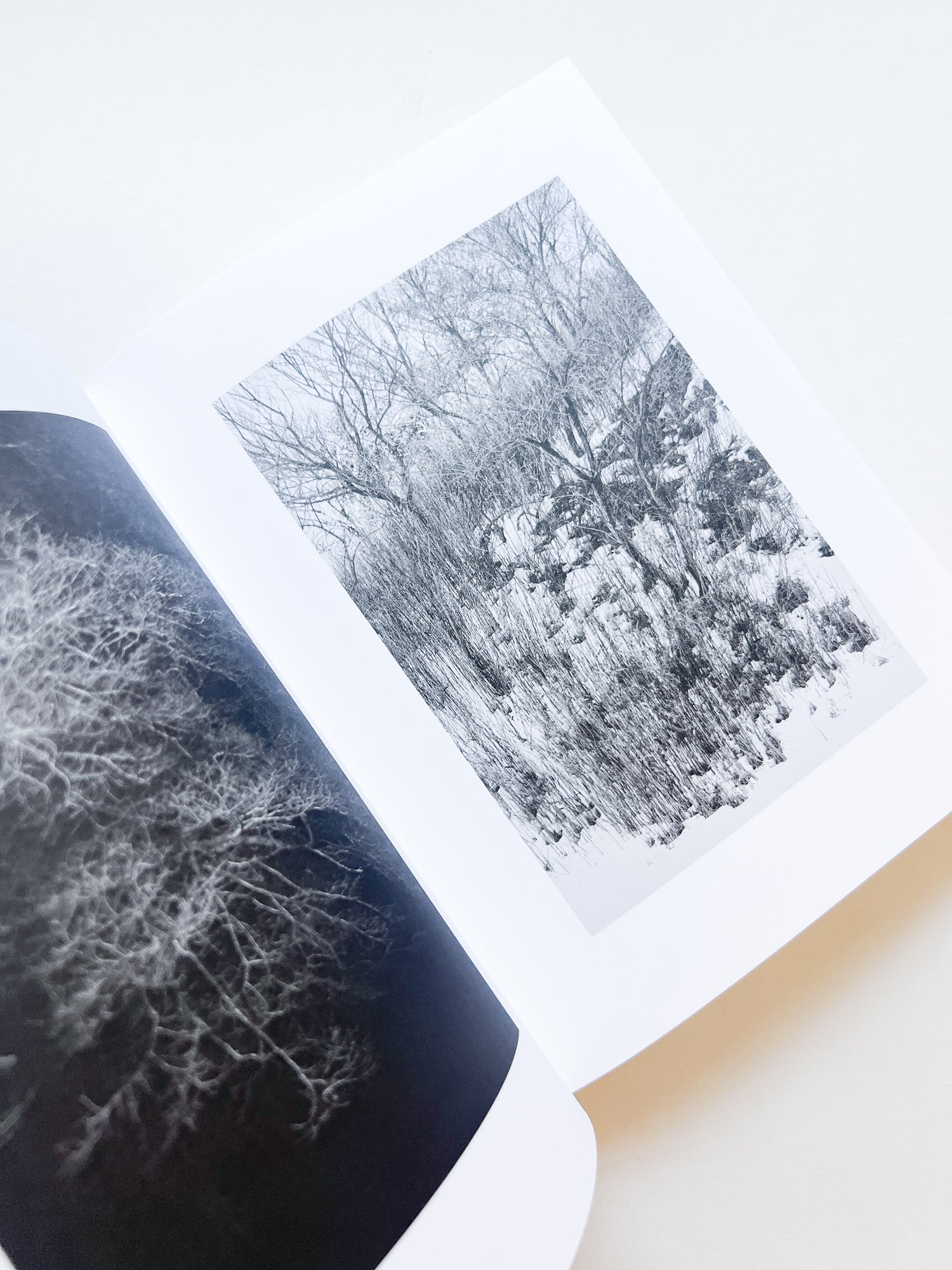 KANON / Shimpei Yamagami [SIGNED]