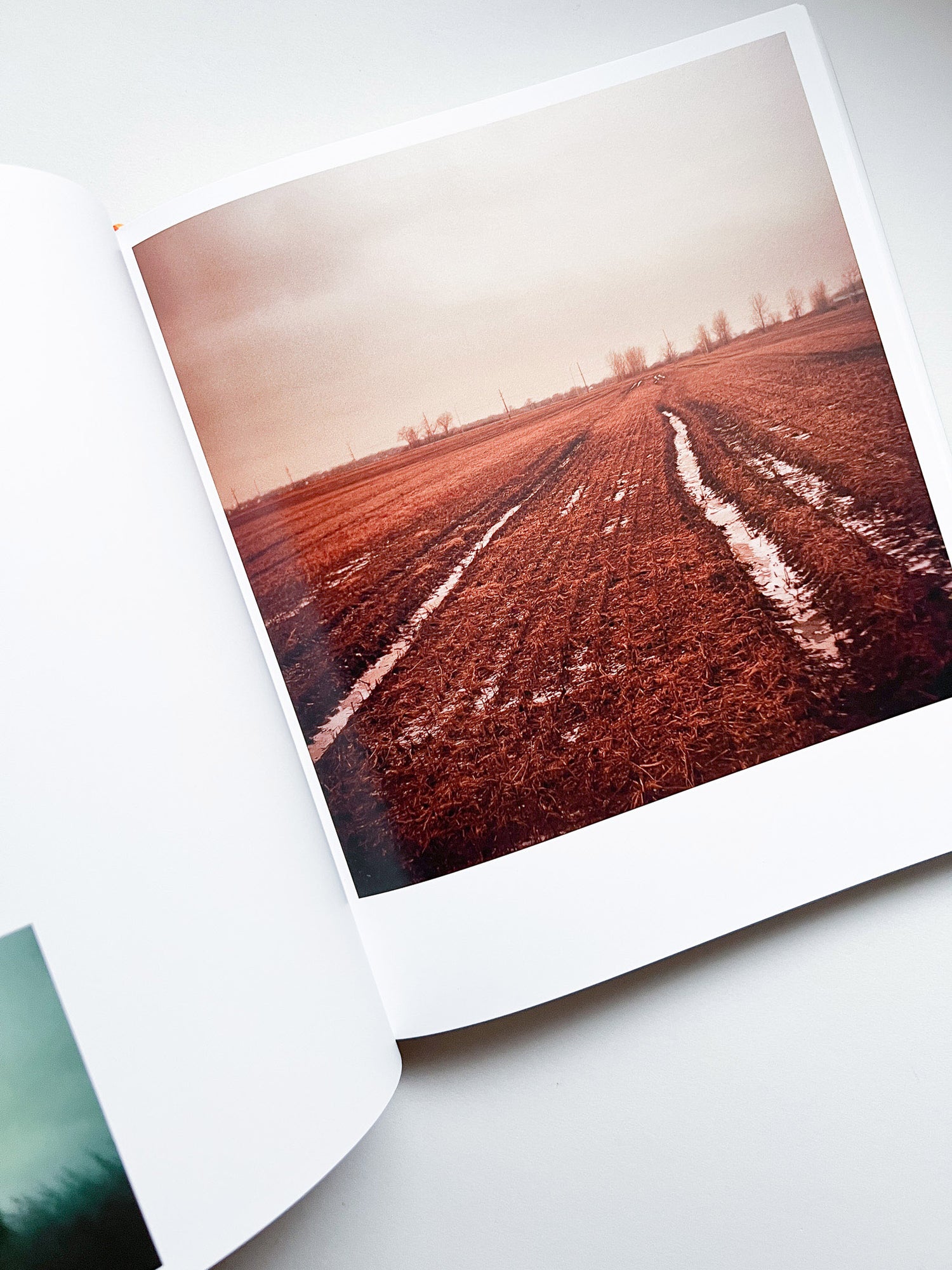 INTIMATE DISTANCE: OVER THIRTY YEARS OF PHOTOGRAPHS, A CHRONOLOGICAL ALBUM / Todd Hido [REVISED AND EXPANDED EDITION / SIGNED]