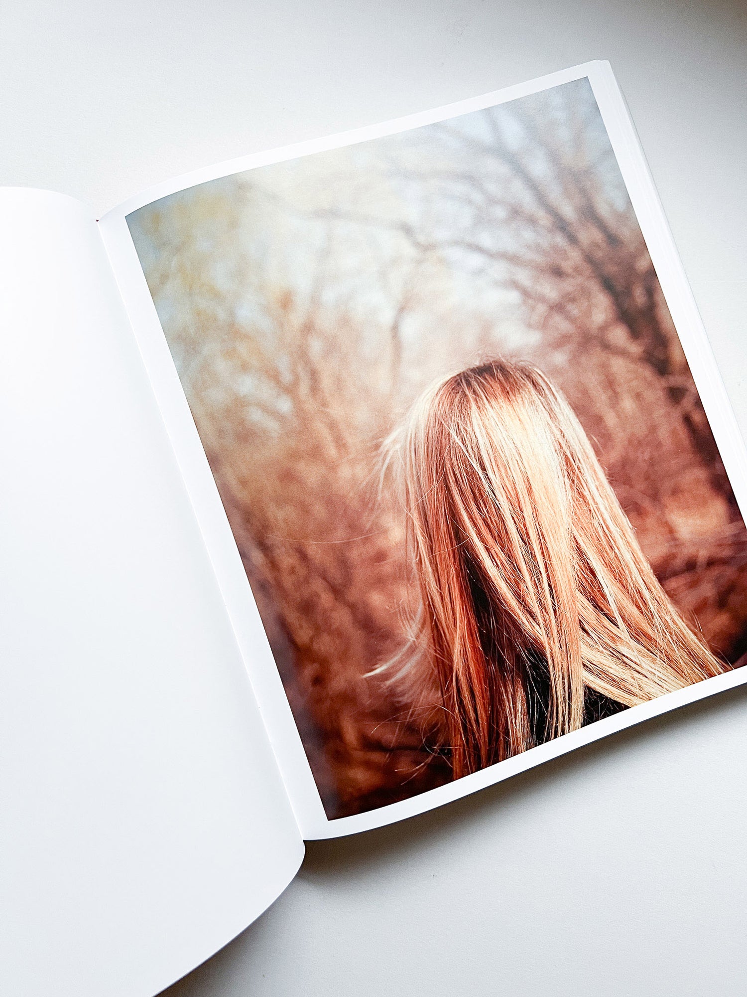 INTIMATE DISTANCE: OVER THIRTY YEARS OF PHOTOGRAPHS, A CHRONOLOGICAL ALBUM / Todd Hido [REVISED AND EXPANDED EDITION / SIGNED]