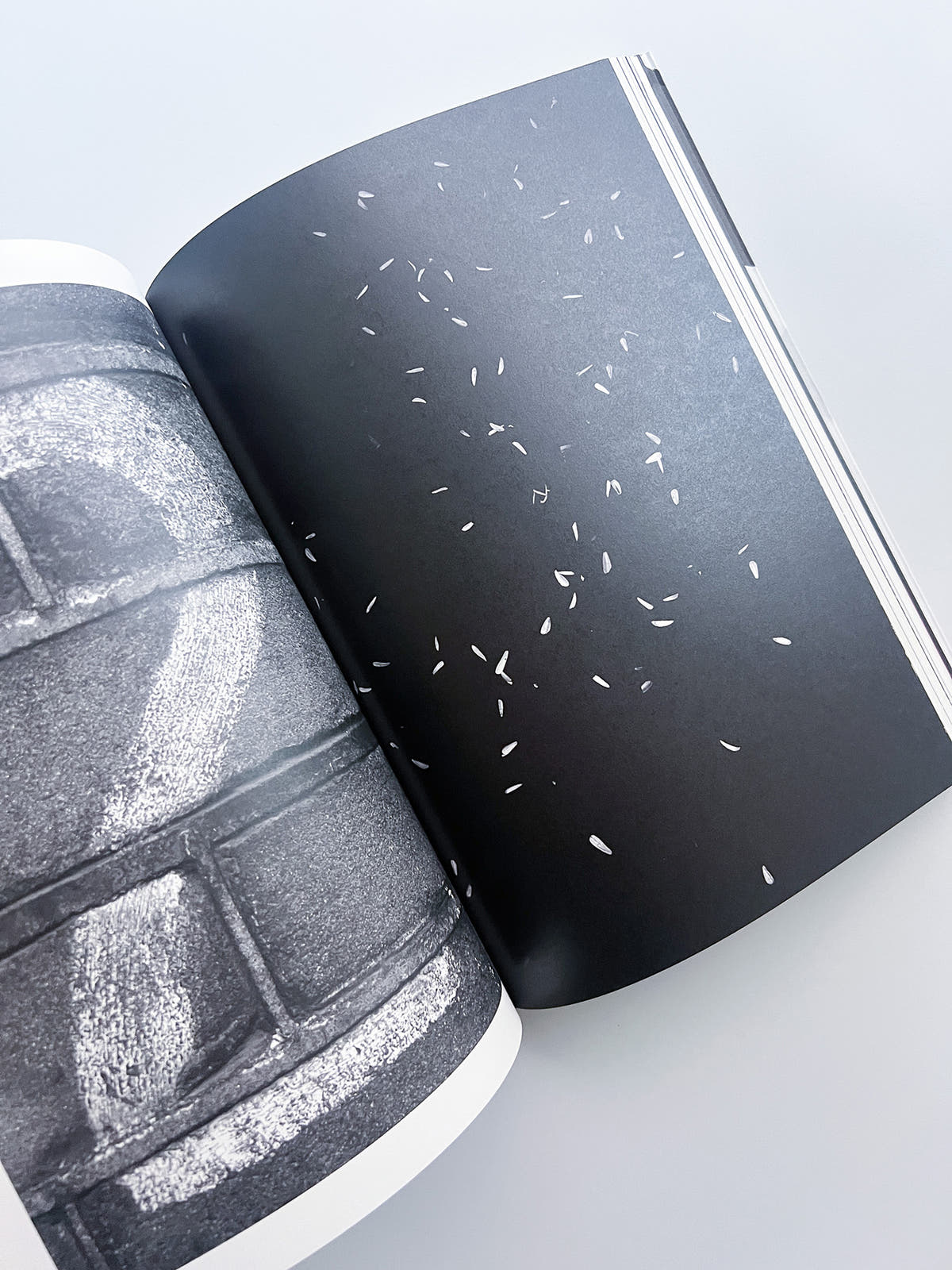Soft Copy Hard Copy, softcover edition / Stephan Keppel