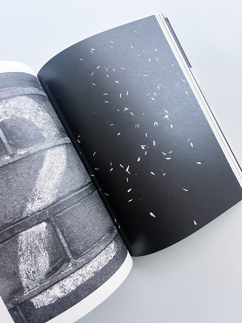 Soft Copy Hard Copy, softcover edition / Stephan Keppel