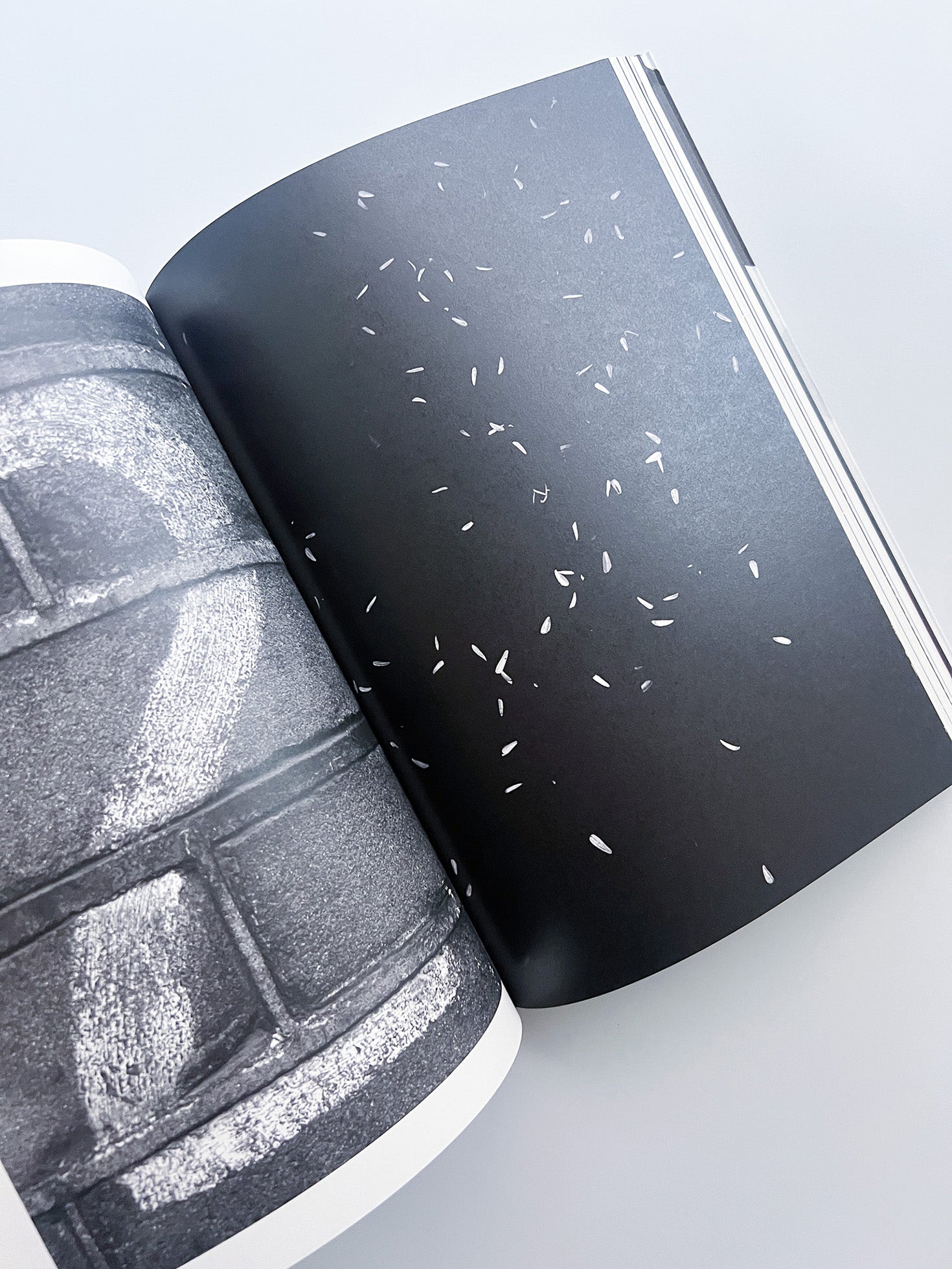 Soft Copy Hard Copy, softcover edition / Stephan Keppel