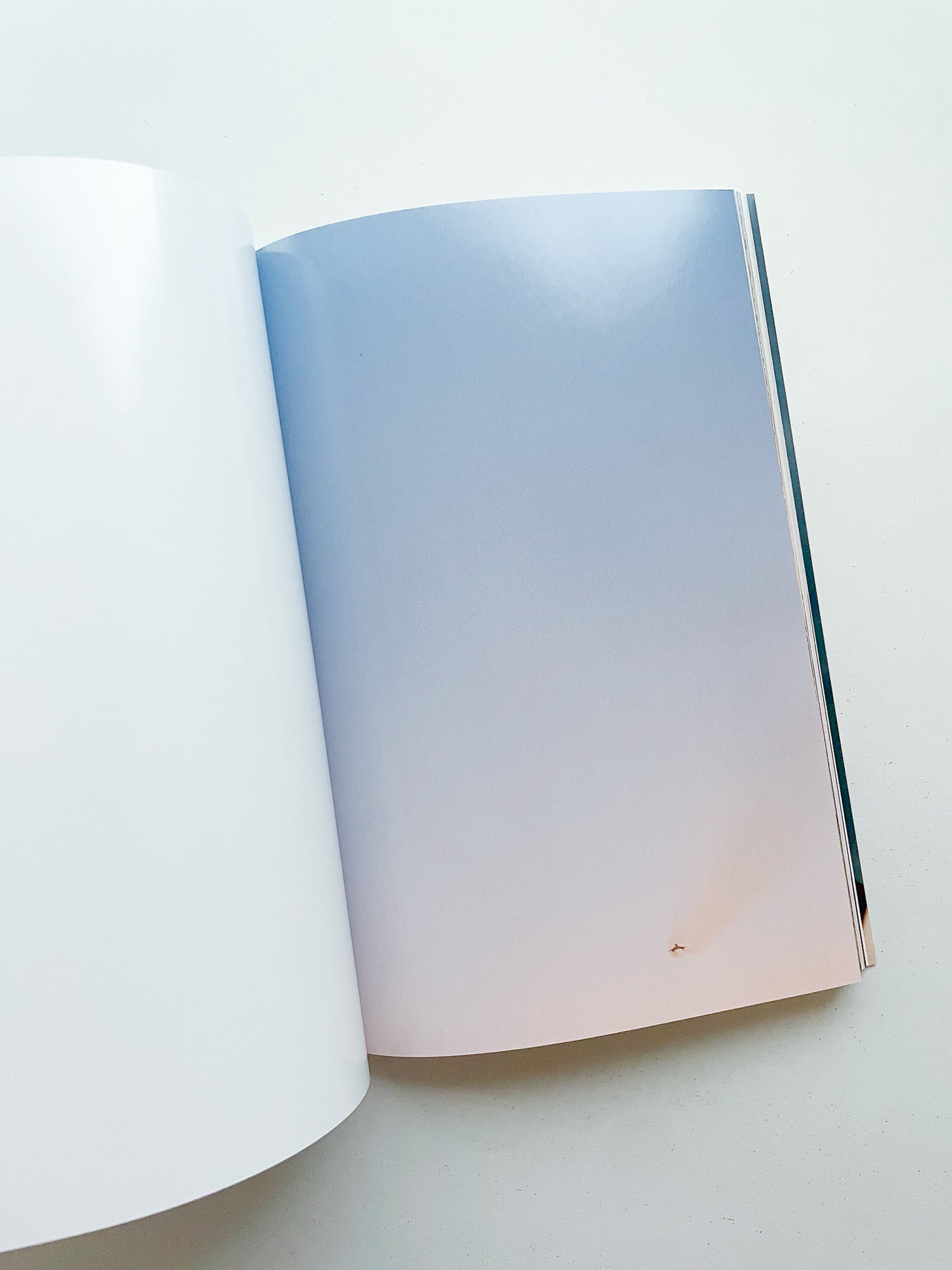 CONCORDE / Wolfgang Tillmans