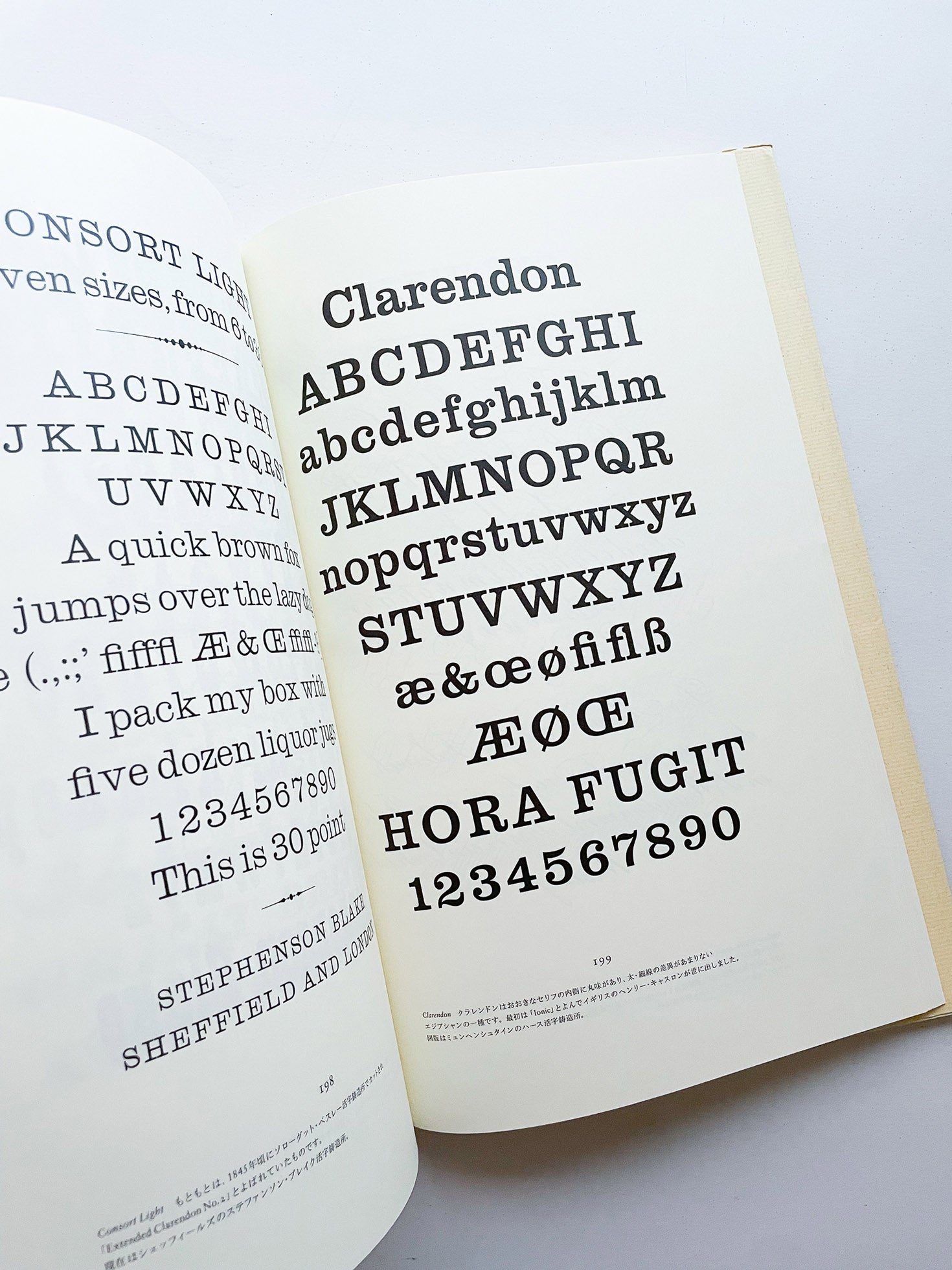 書物と活字 / ヤン・チヒョルト