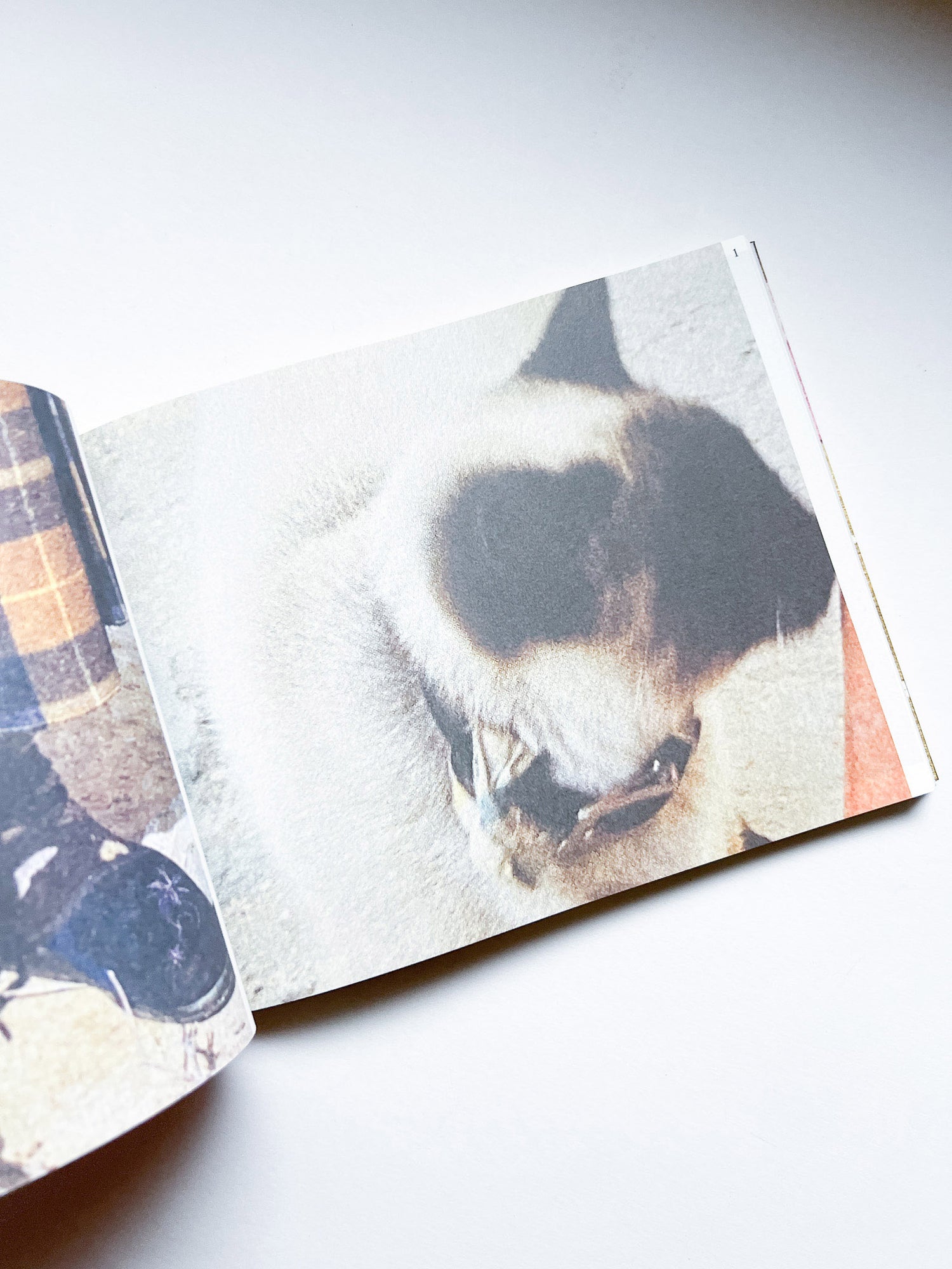 The Most Beautiful Swiss Books 2024