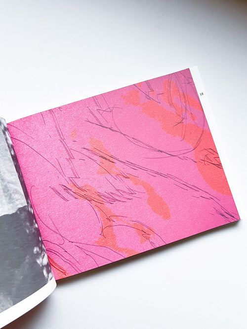 The Most Beautiful Swiss Books 2024