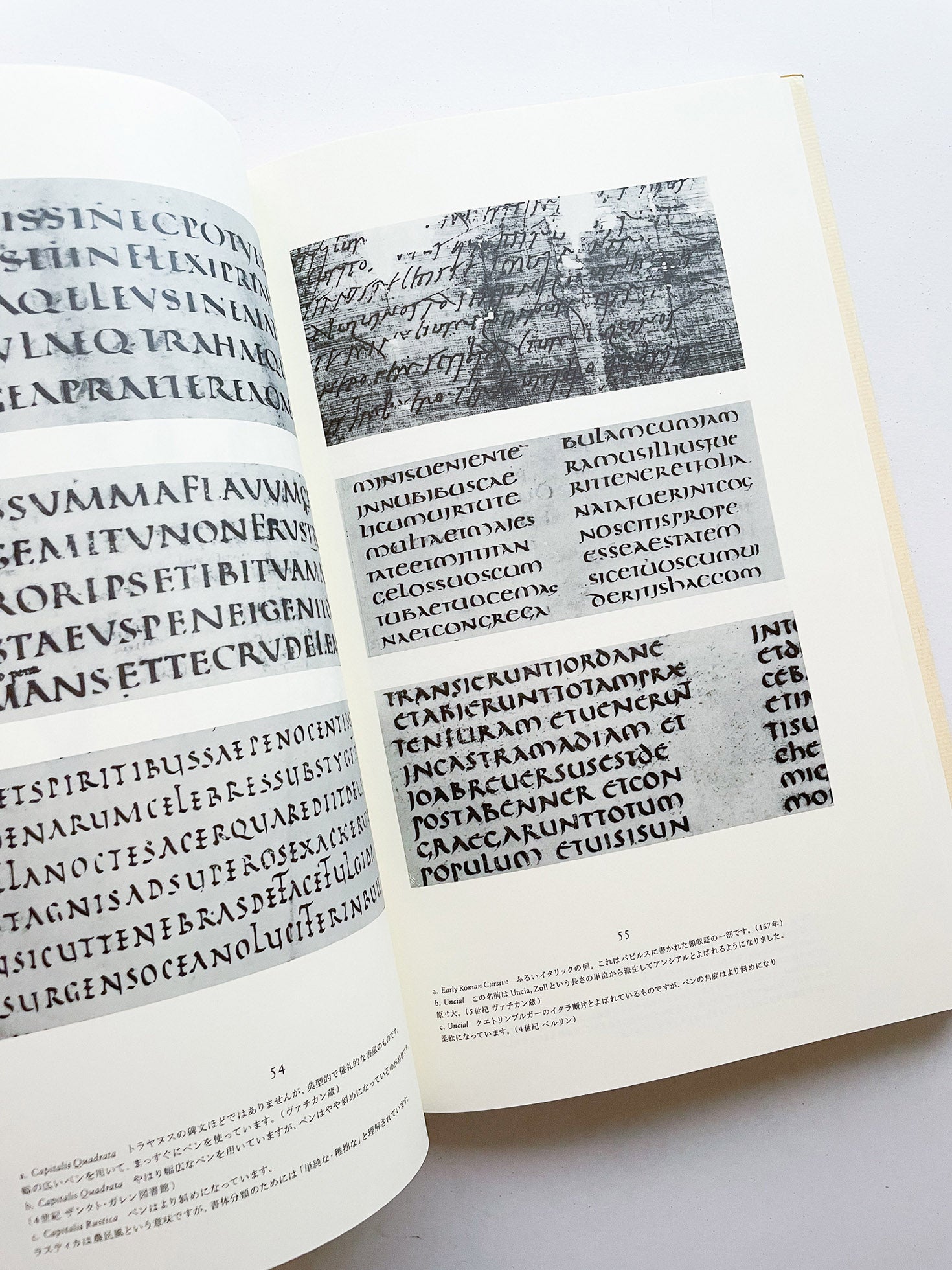 書物と活字 / ヤン・チヒョルト - 本 屋 青 旗 Ao-Hata Bookstore