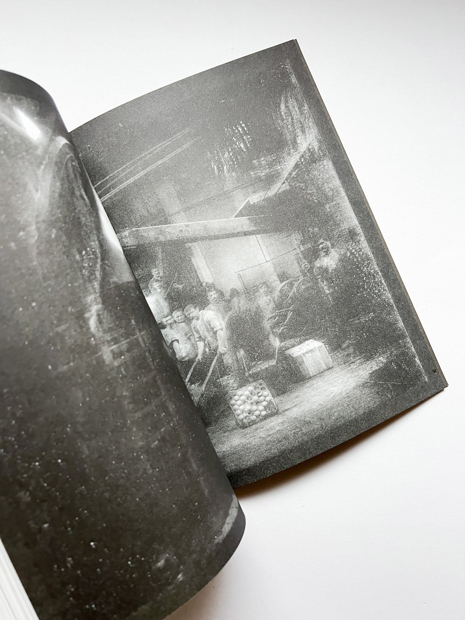 La Nonpareille / Batia Suter - 本屋青旗 Ao-Hata Bookstore