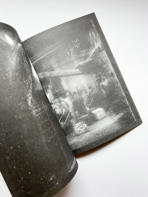 La Nonpareille / Batia Suter