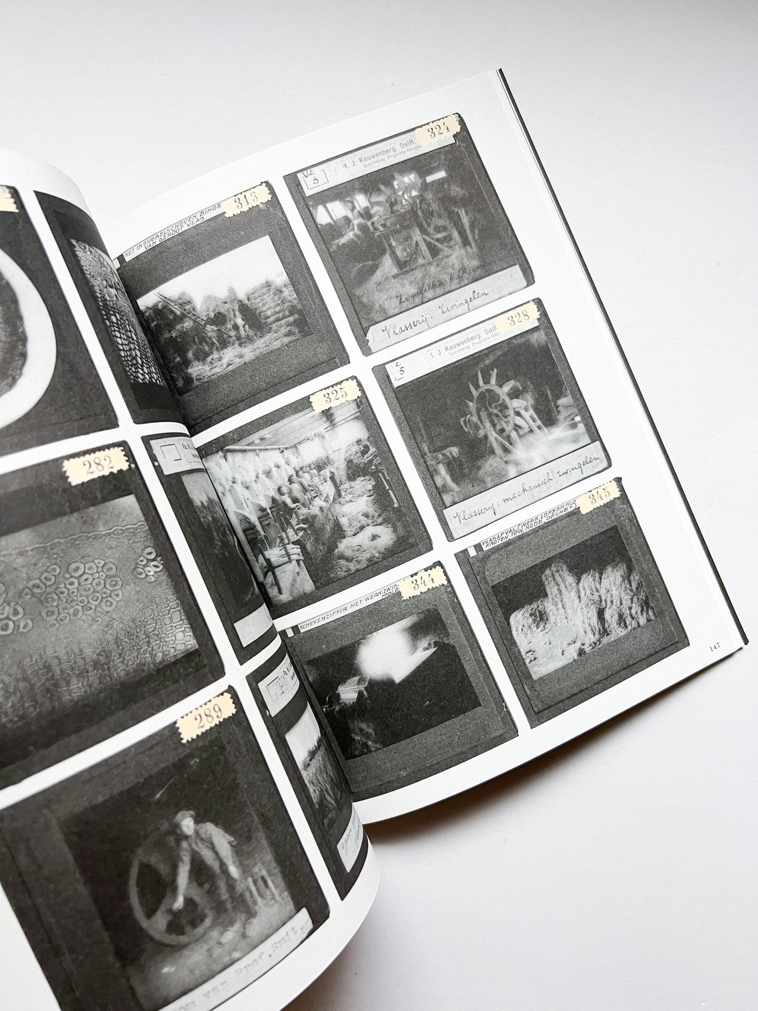 La Nonpareille / Batia Suter