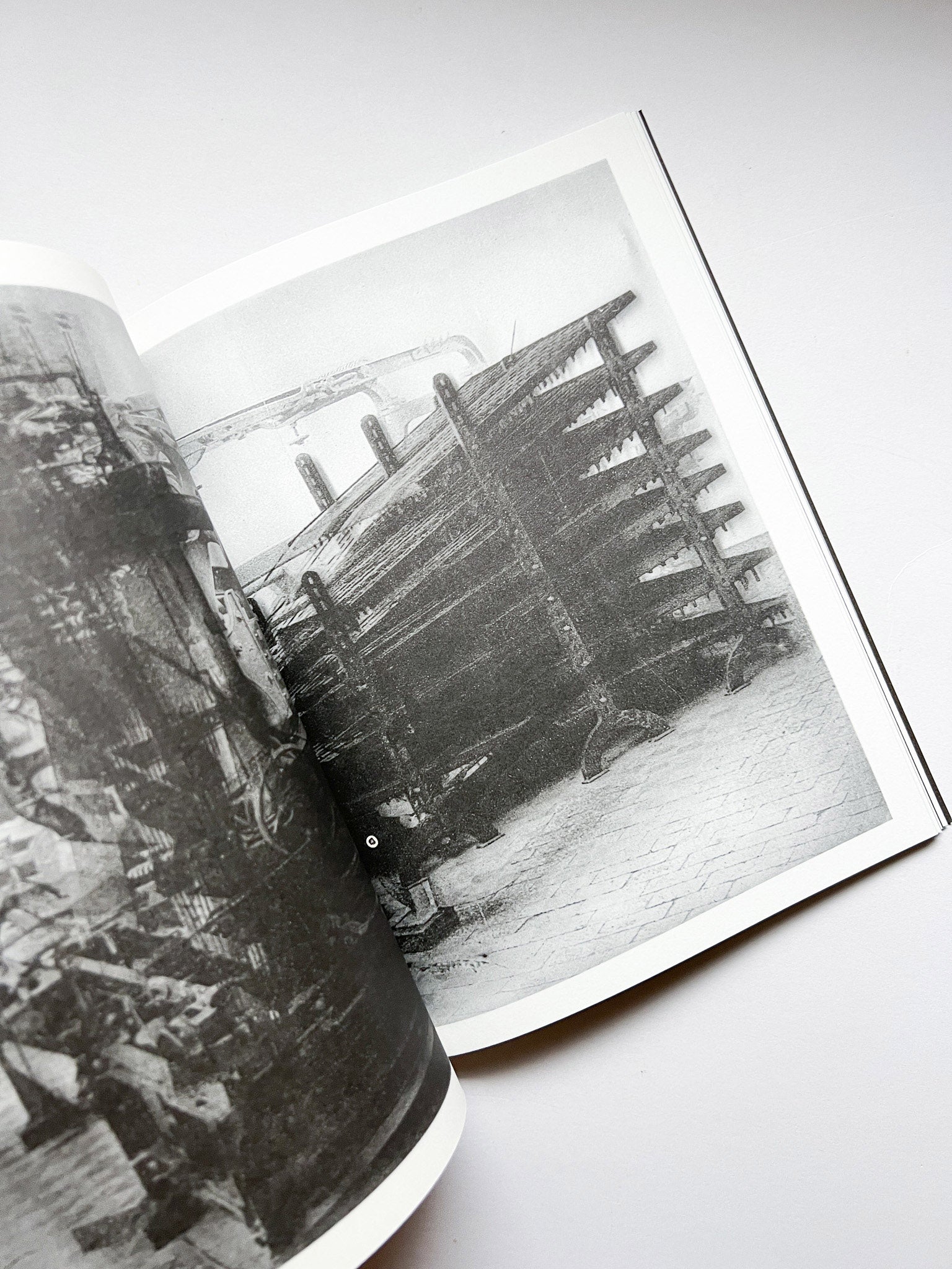 La Nonpareille / Batia Suter - 本屋青旗 Ao-Hata Bookstore