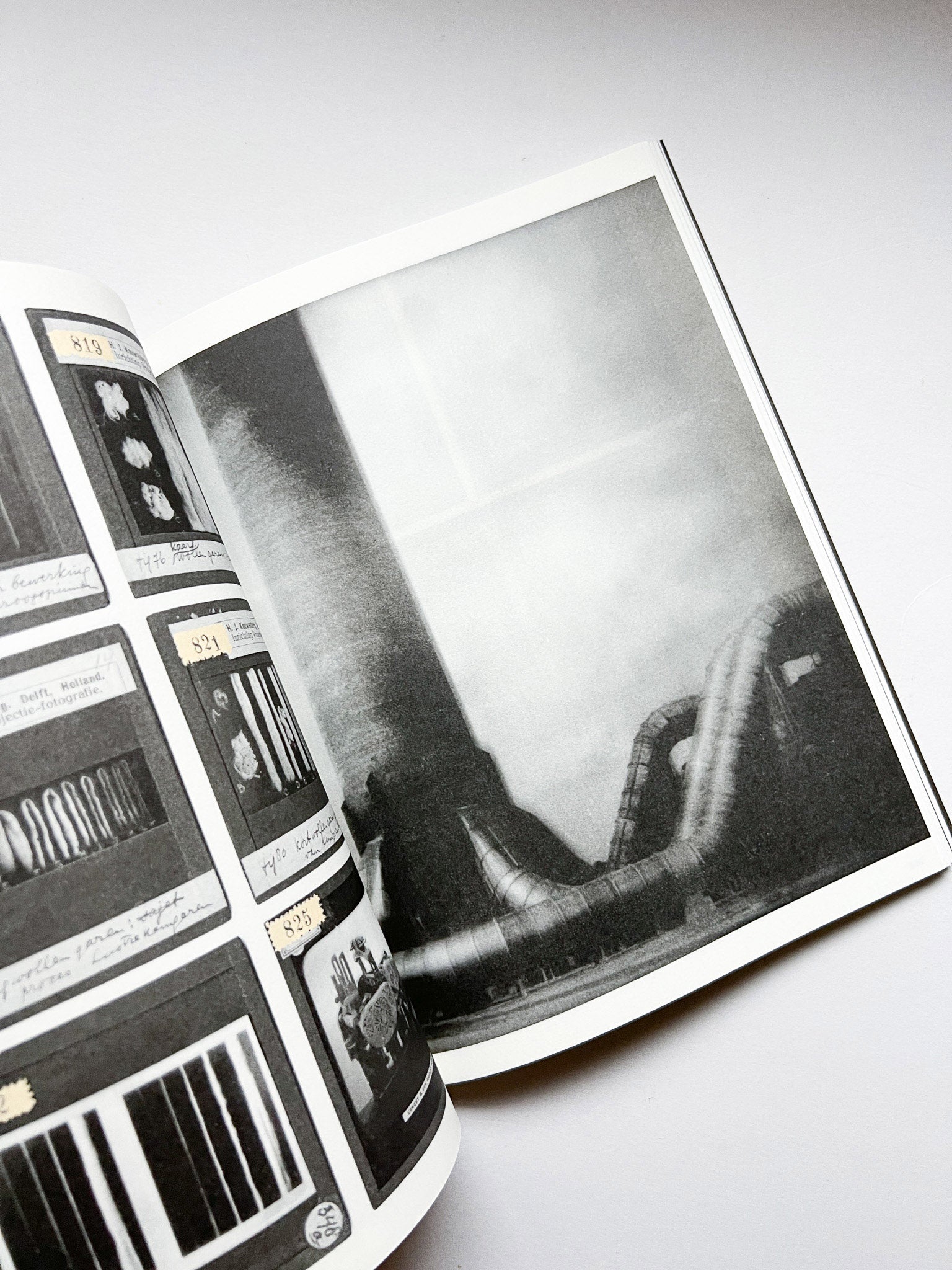 La Nonpareille / Batia Suter - 本屋青旗 Ao-Hata Bookstore