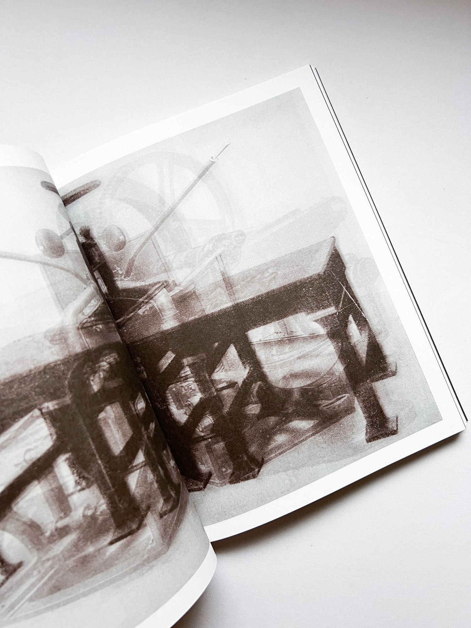 La Nonpareille / Batia Suter